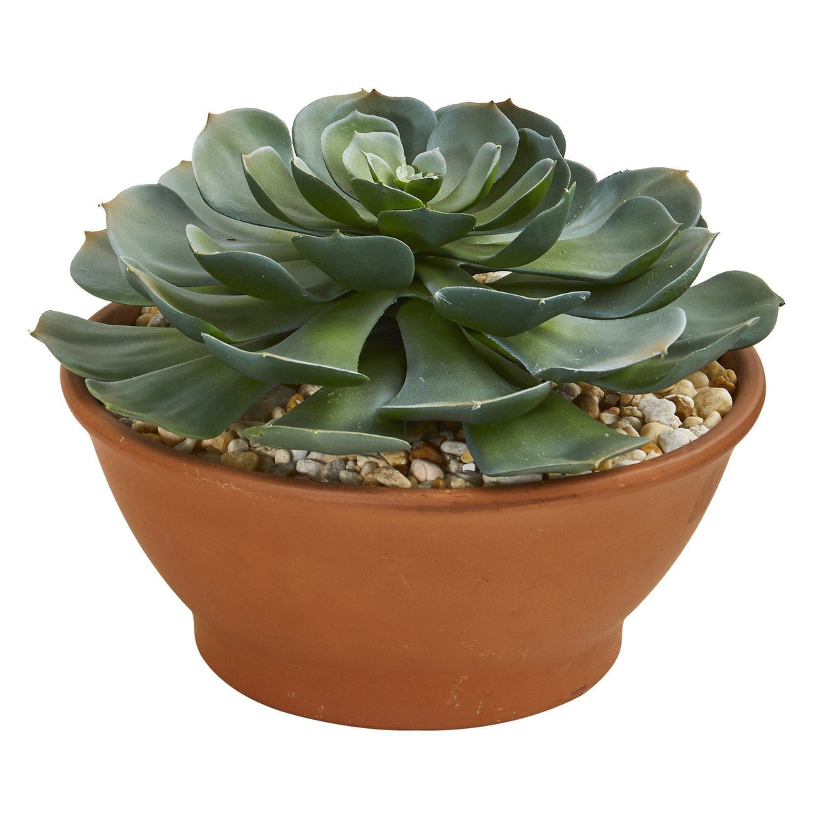 Giant Echeveria Succulent Artificial Plant in Terra Cotta Planter