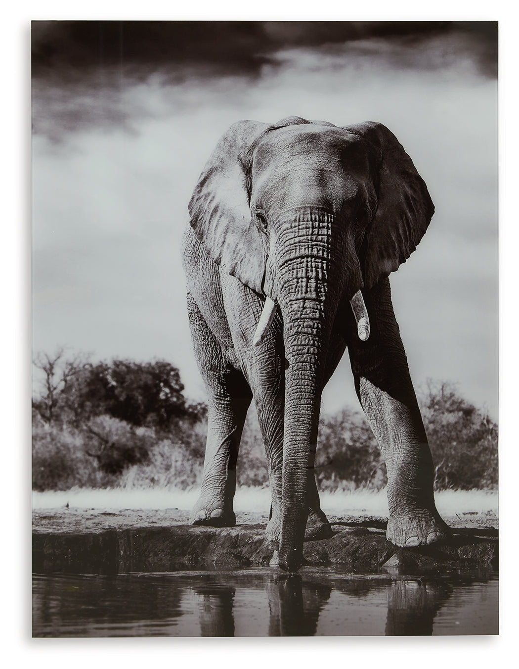 Glinyard Wall Art - Ornate Home