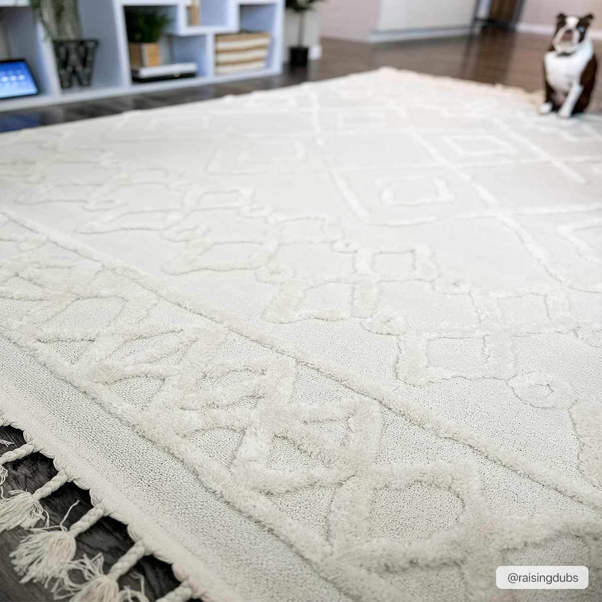 Gyundyukoru Area Rug - Clearance - Ornate Home