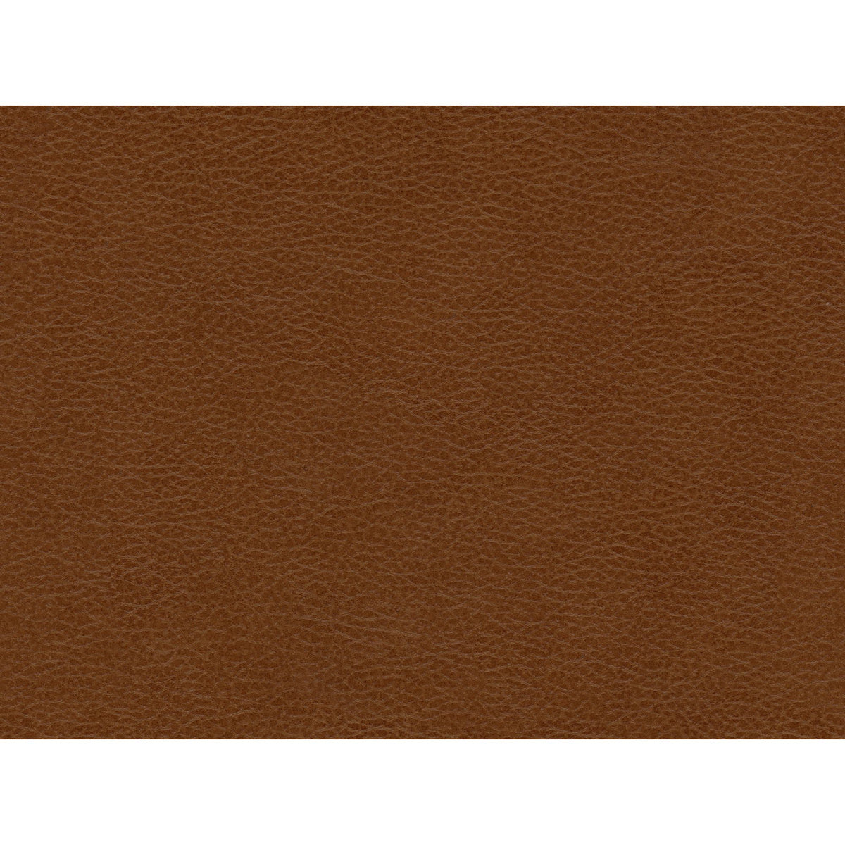 Hampton Fiero Tan Chair (Top Grain/PVC) - Ornate Home