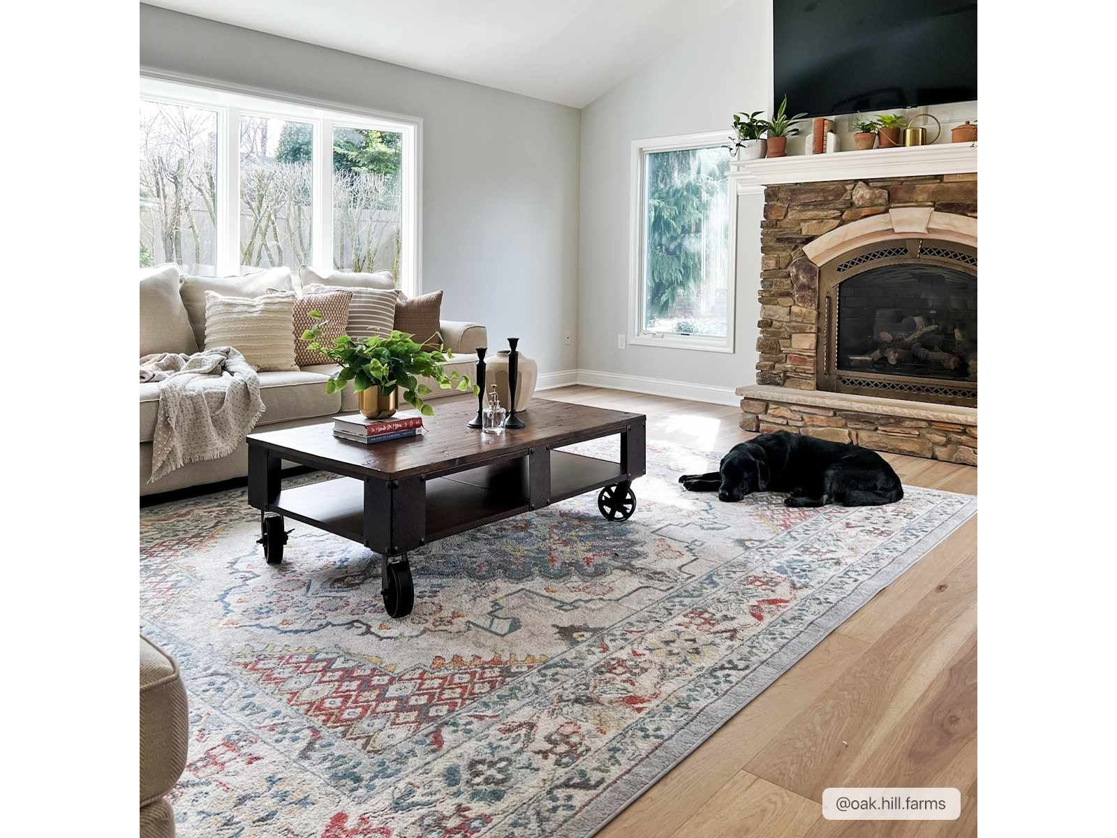 Haymond Area Rug - Ornate Home