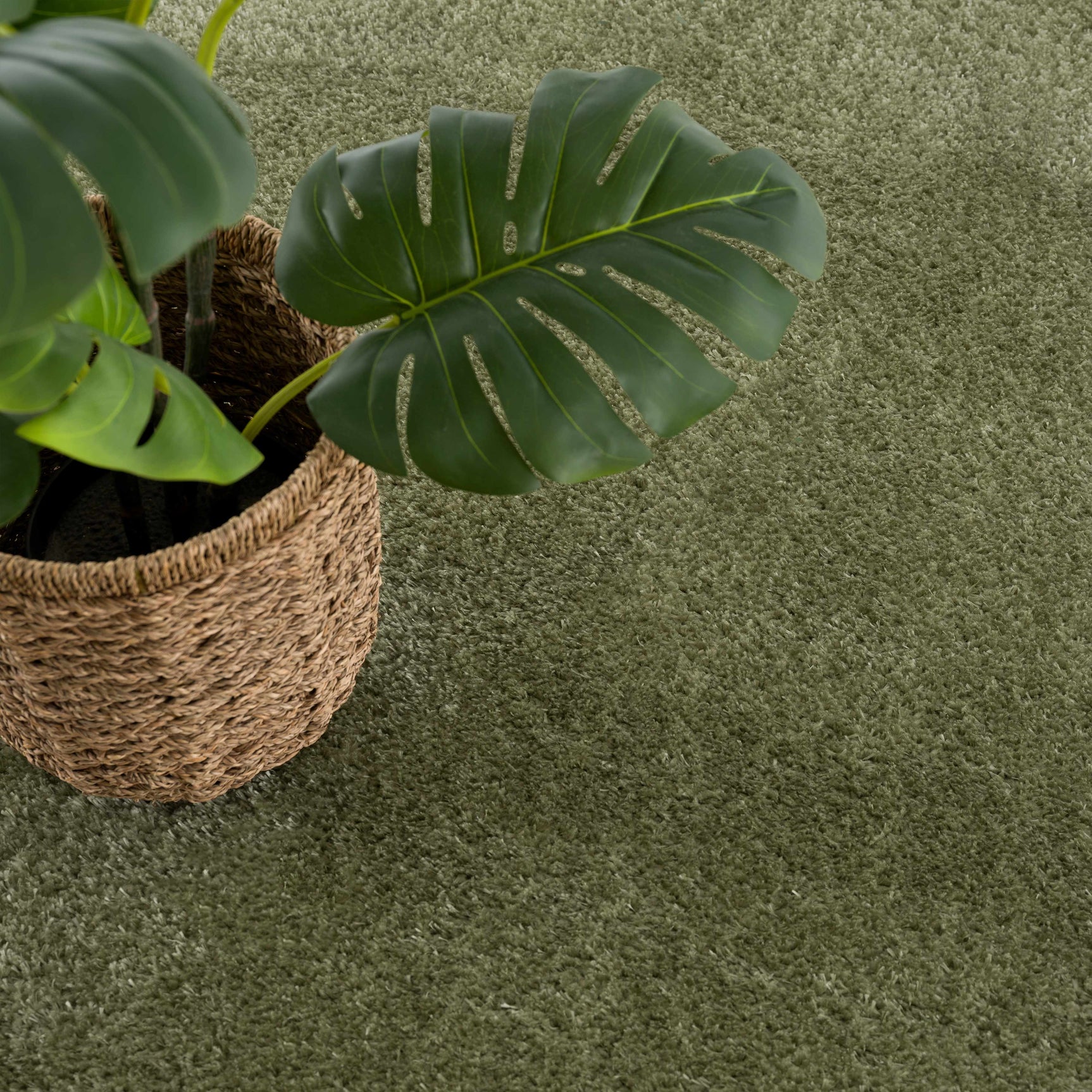 Heavenly Solid Green Plush Rug - Clearance - Ornate Home