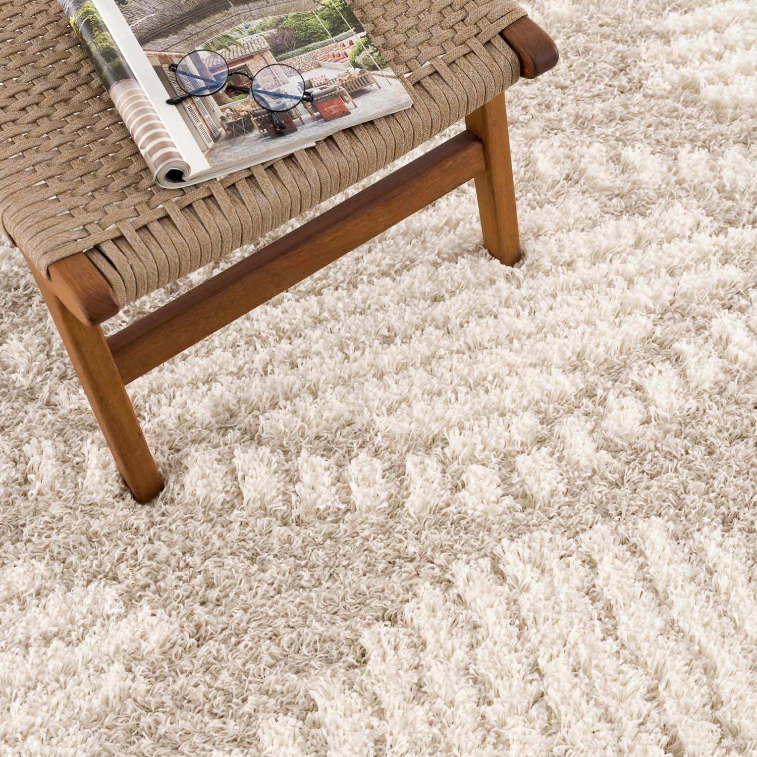 Igor Shag Area Rug - Ornate Home