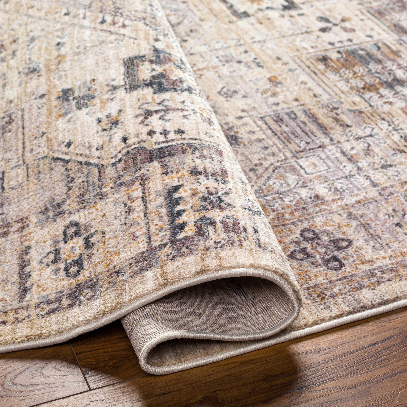 Iiona Area Rug - Clearance - Ornate Home