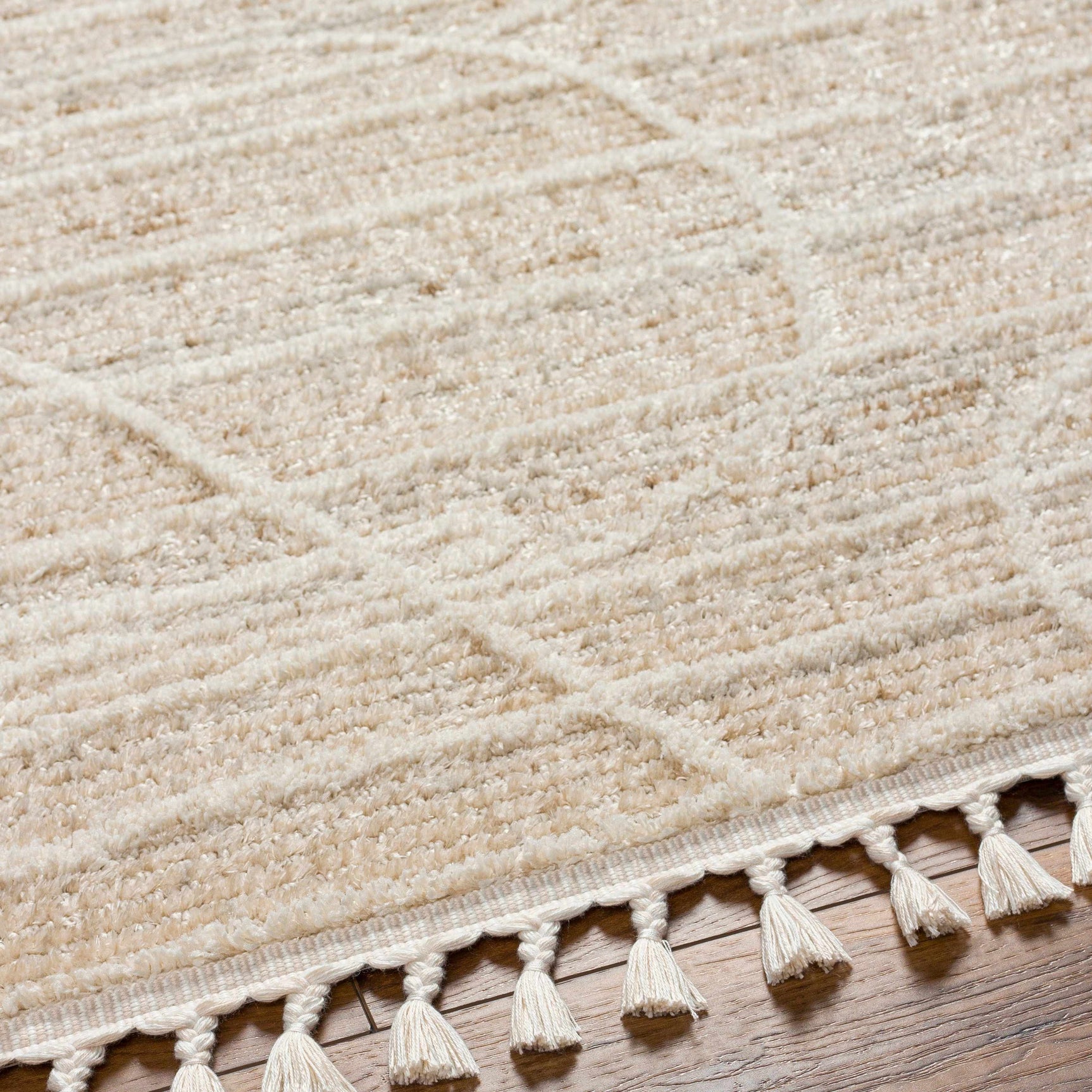 Inaya Area Rug - Clearance - Ornate Home