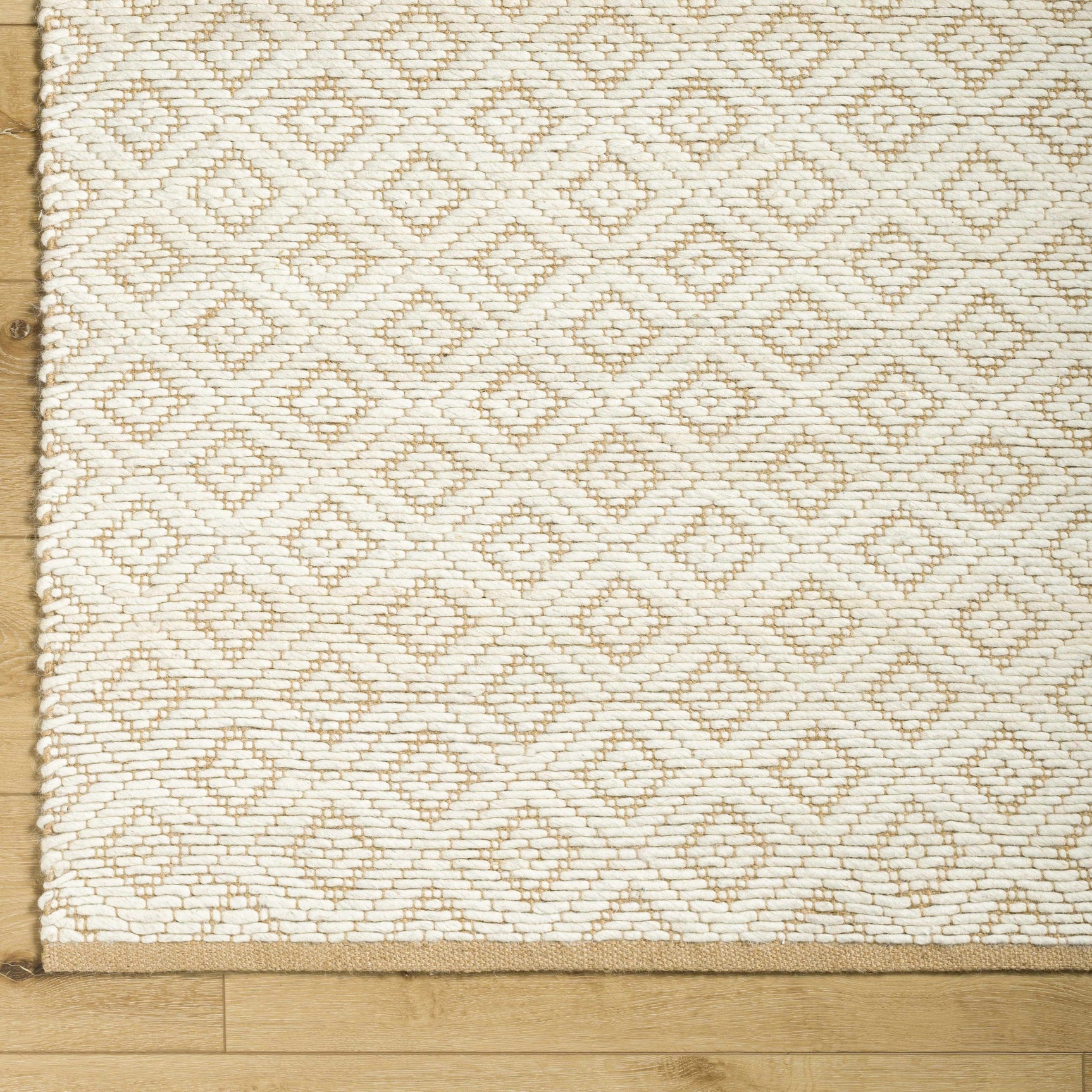 Irela Area Rug - Clearance - Ornate Home