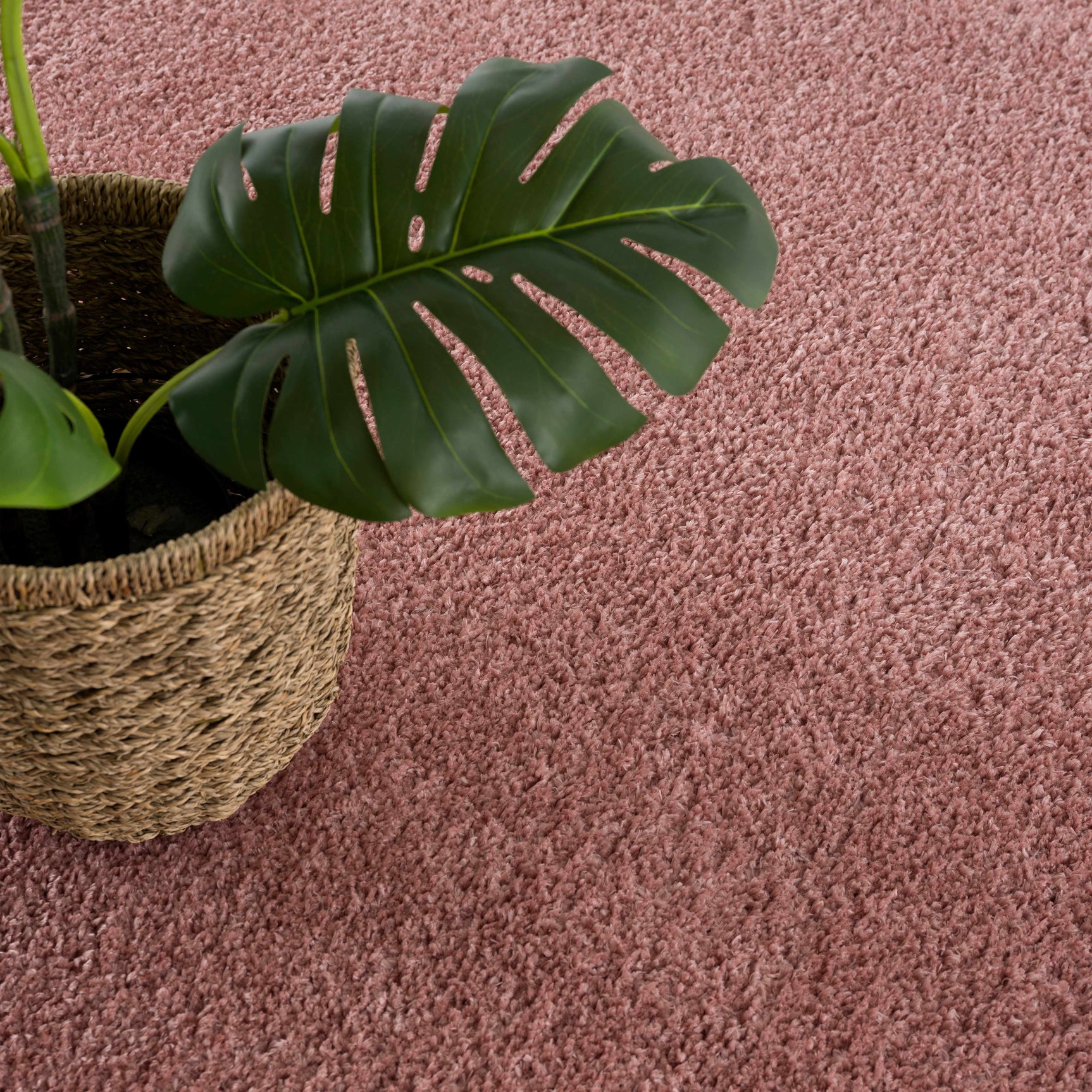 Judy Pink Plush Washable Area Rug - Clearance - Ornate Home