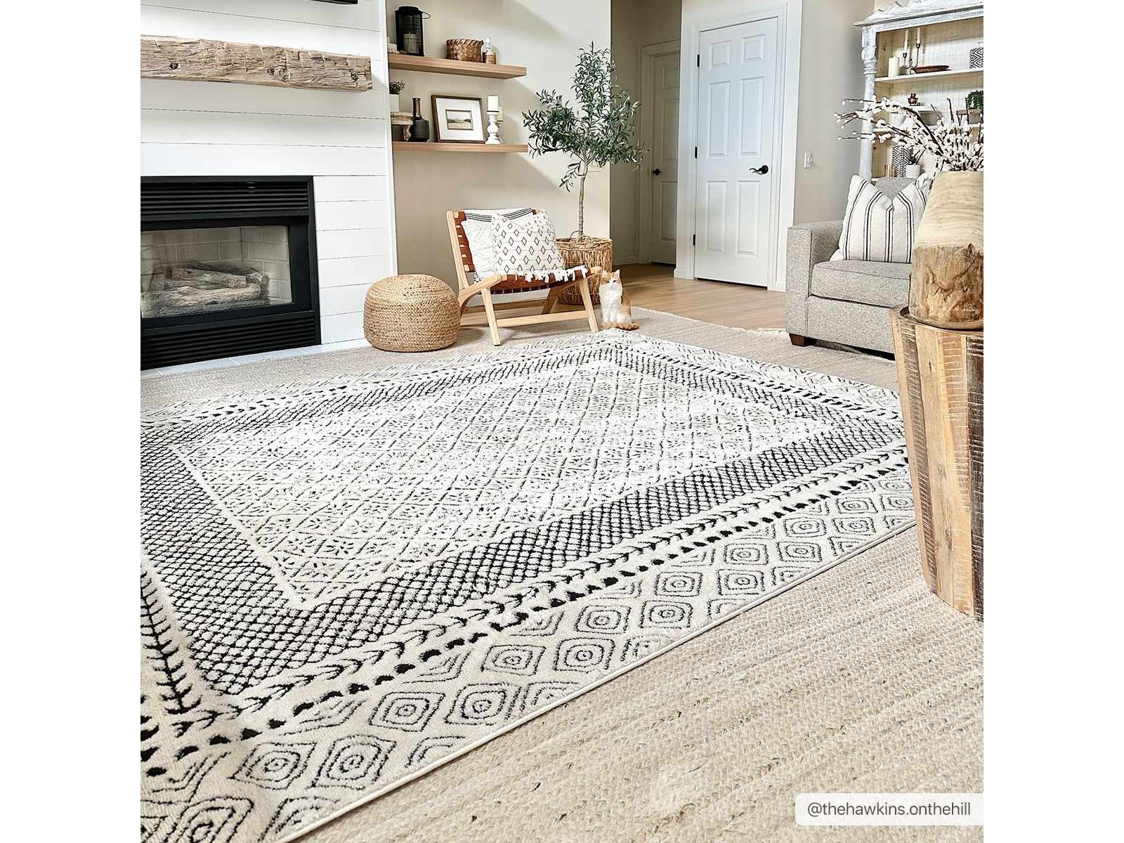 Julio Area Rug - Clearance - Ornate Home