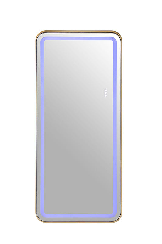 Katlyn Gold Floor Mirror - Ornate Home