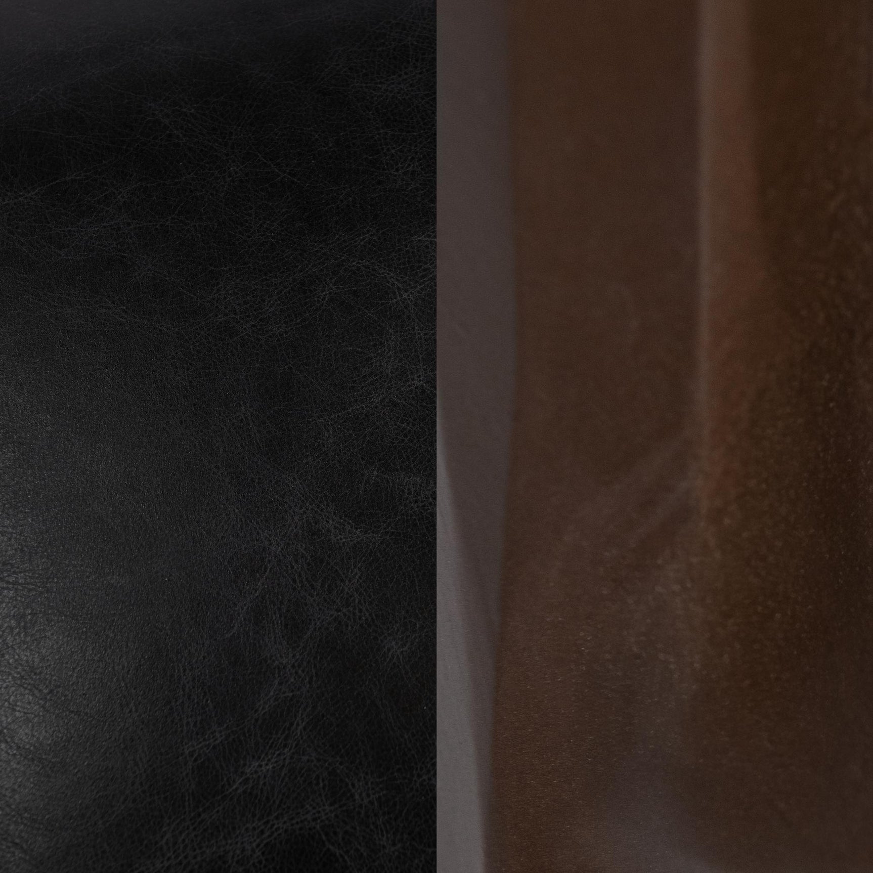 Kayne Jet Black Dining Chair (Set of 2) - Ornate Home