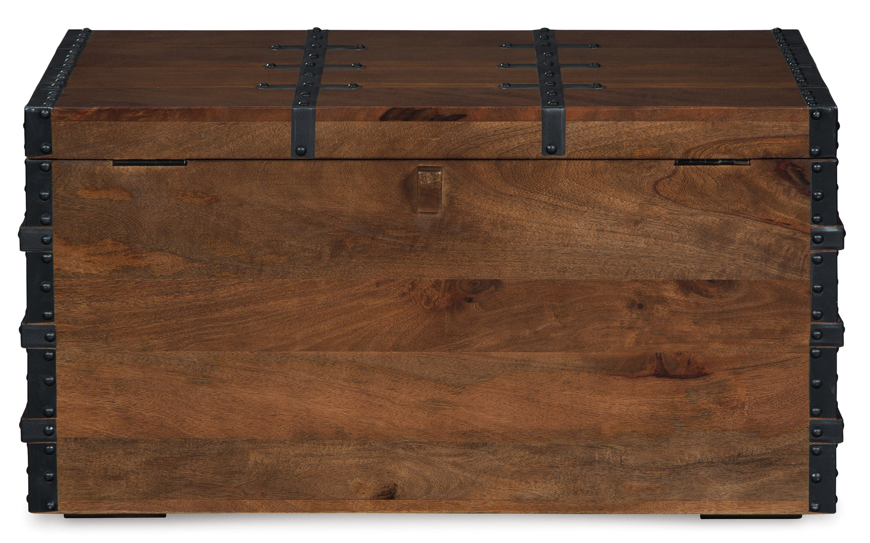 Kettleby Brown Storage Trunk - Ornate Home