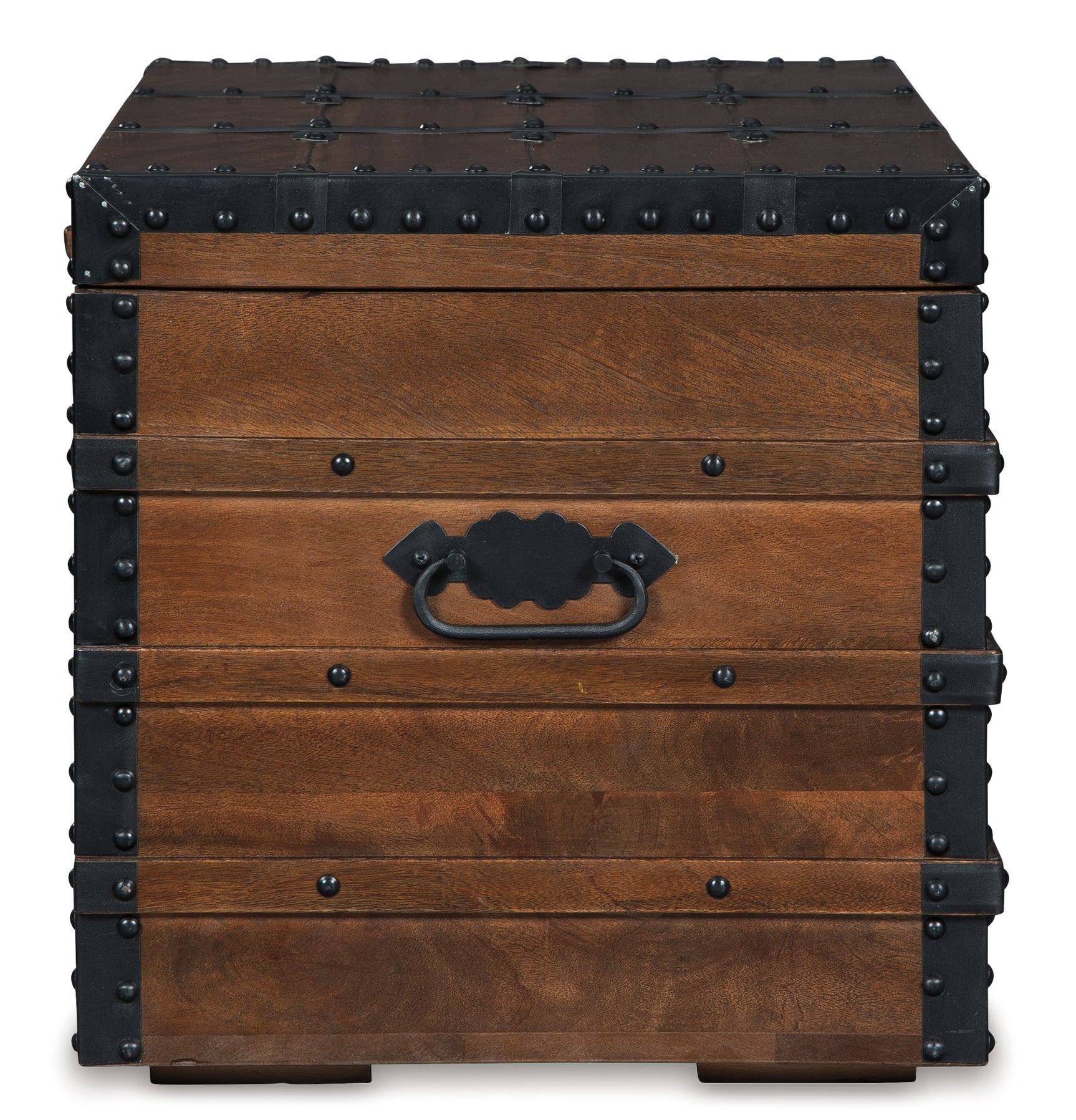 Kettleby Brown Storage Trunk - Ornate Home
