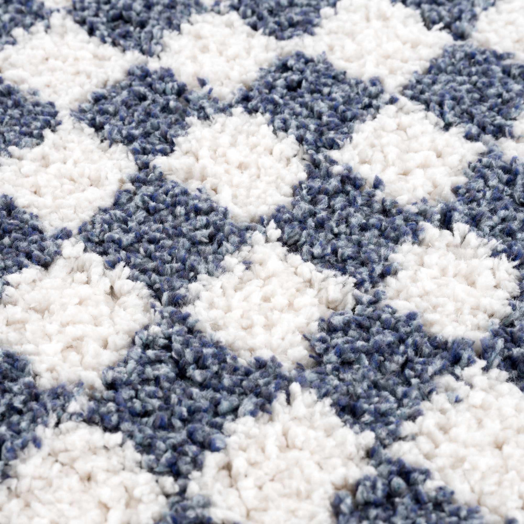 Kieu Blue & White Checkered Area Rug - Ornate Home