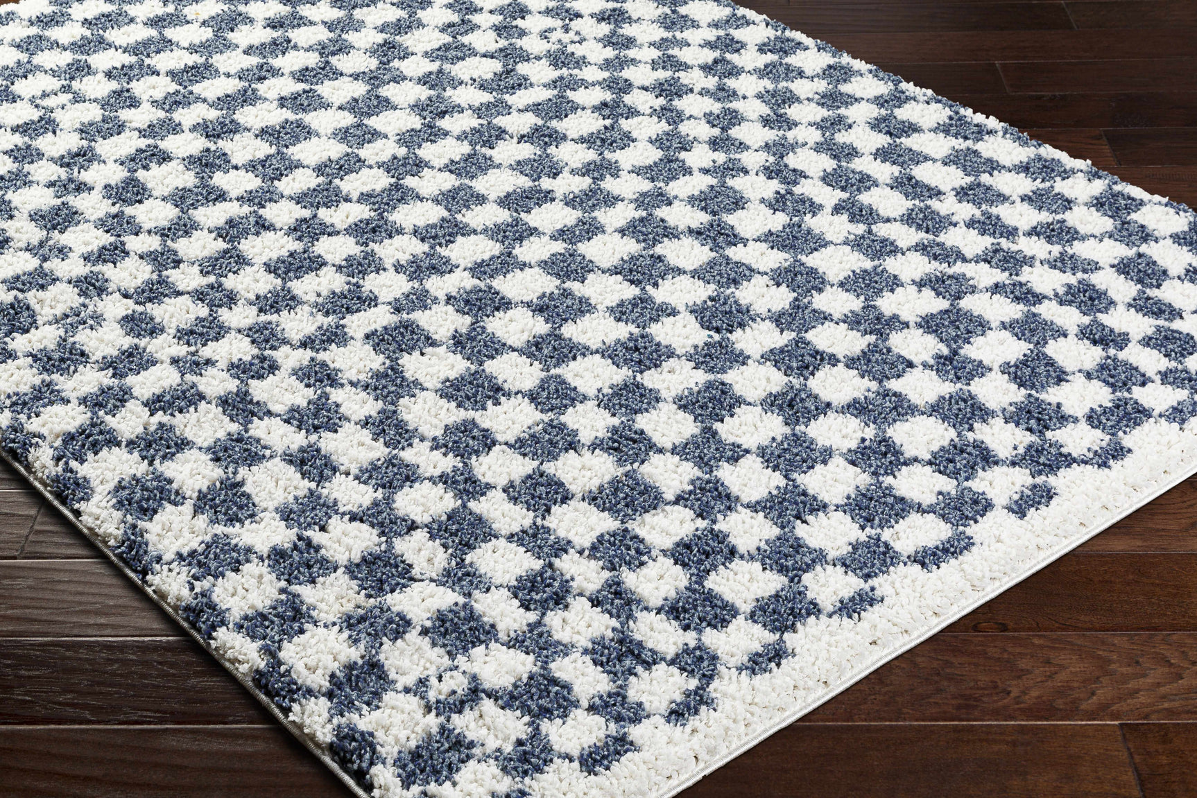 Kieu Blue & White Checkered Area Rug - Ornate Home