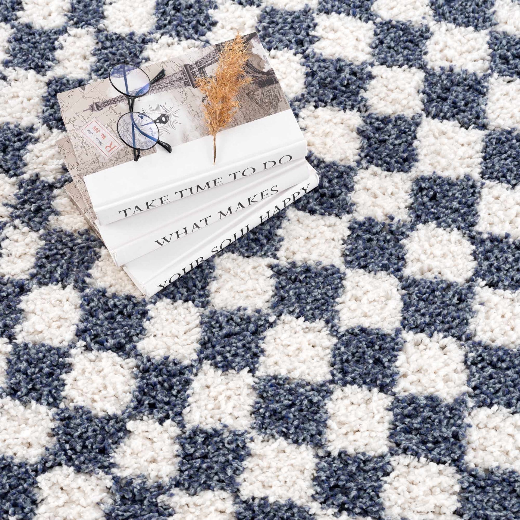 Kieu Blue & White Checkered Area Rug - Ornate Home
