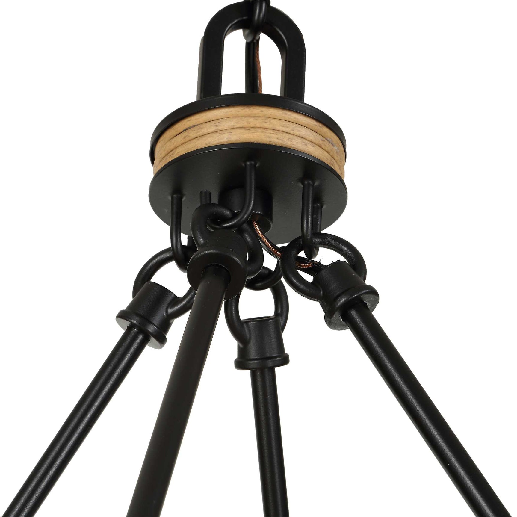 Palm Royal Black 8 Light Indoor-Outdoor Chandelier