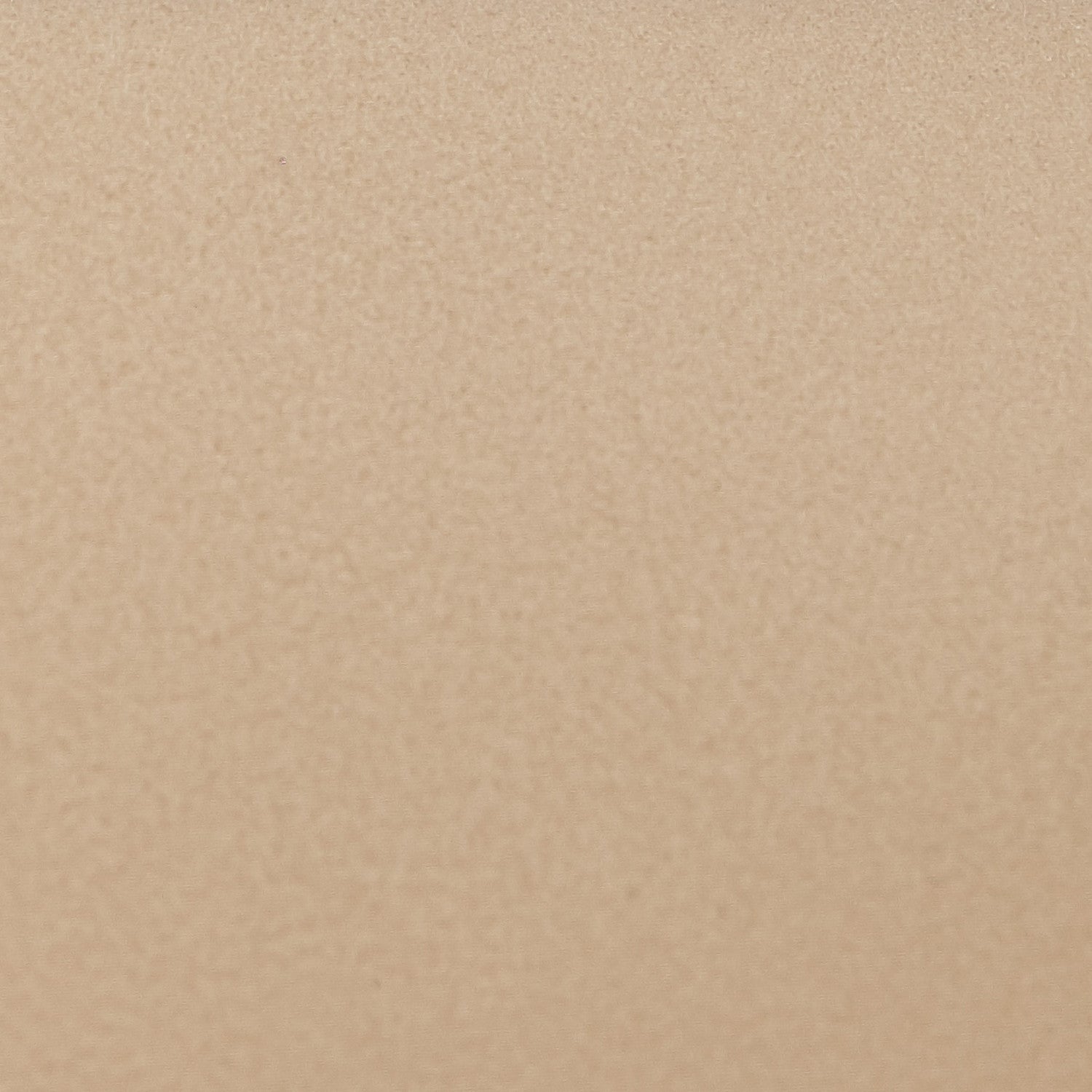 La Rachelle Medium Champagne/Icicle Sofa - Ornate Home