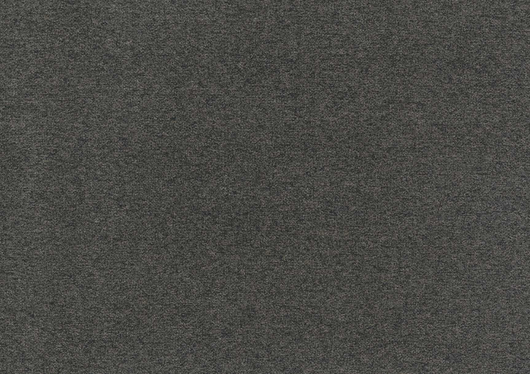 Labelle Dark Gray Daybed with Trundle - Ornate Home