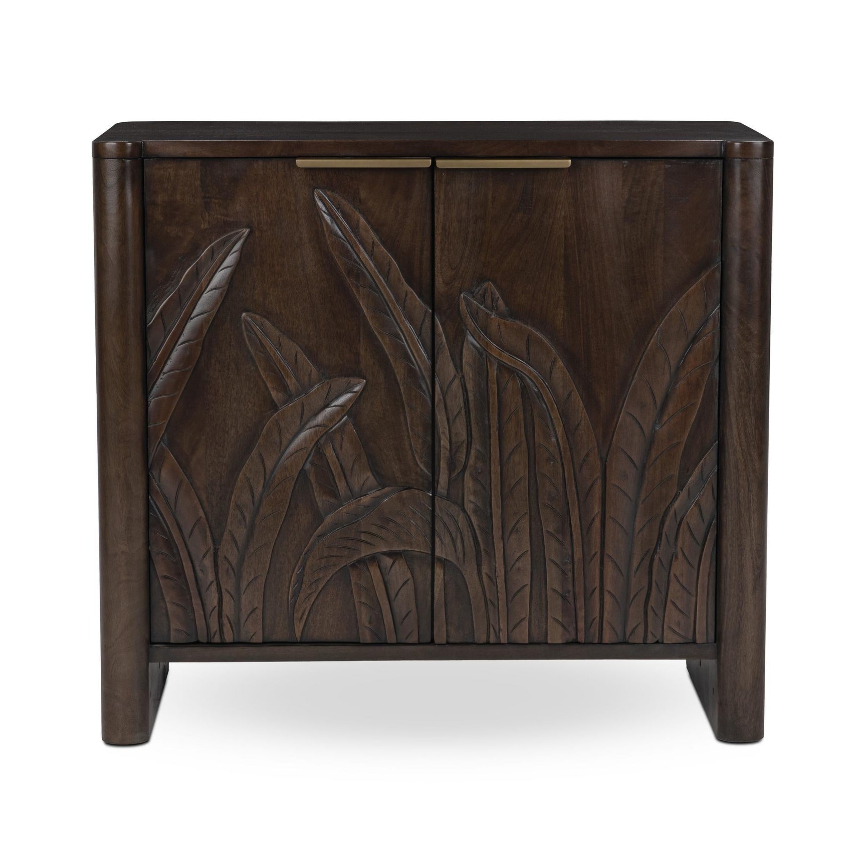 Ledro Dark Brown 2 Door Cabinet - Ornate Home