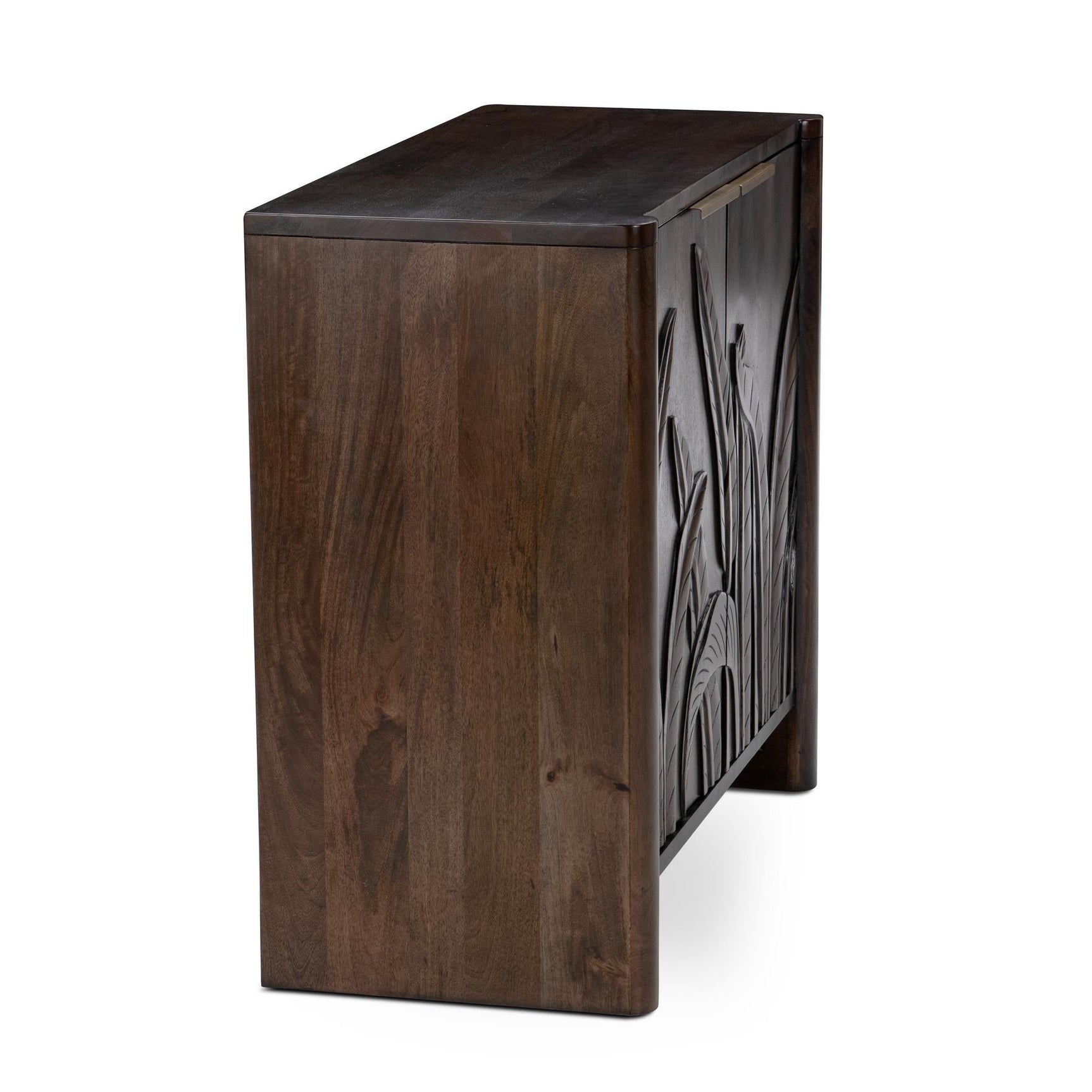 Ledro Dark Brown 2 Door Cabinet - Ornate Home
