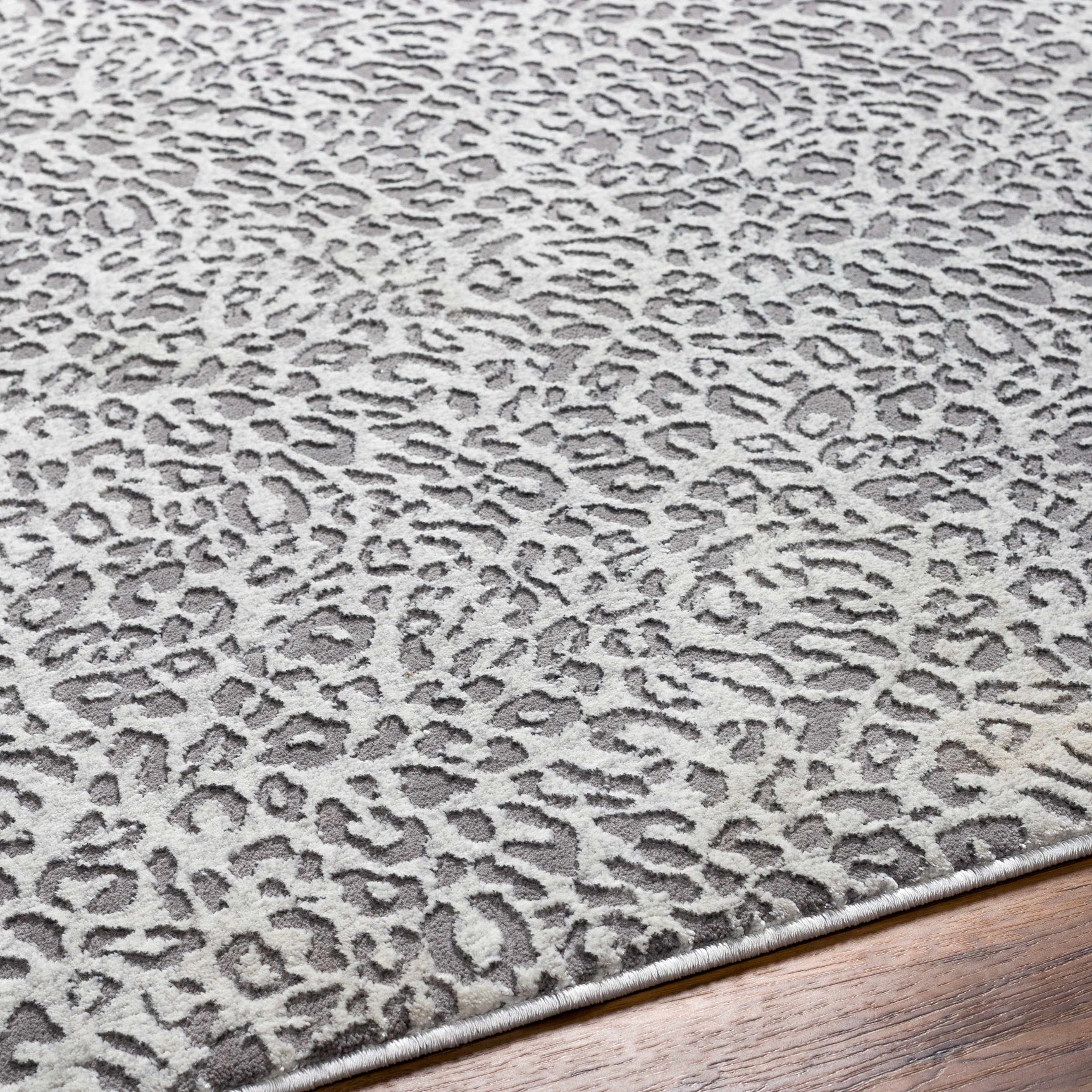 Lesa Area Rug - Clearance - Ornate Home