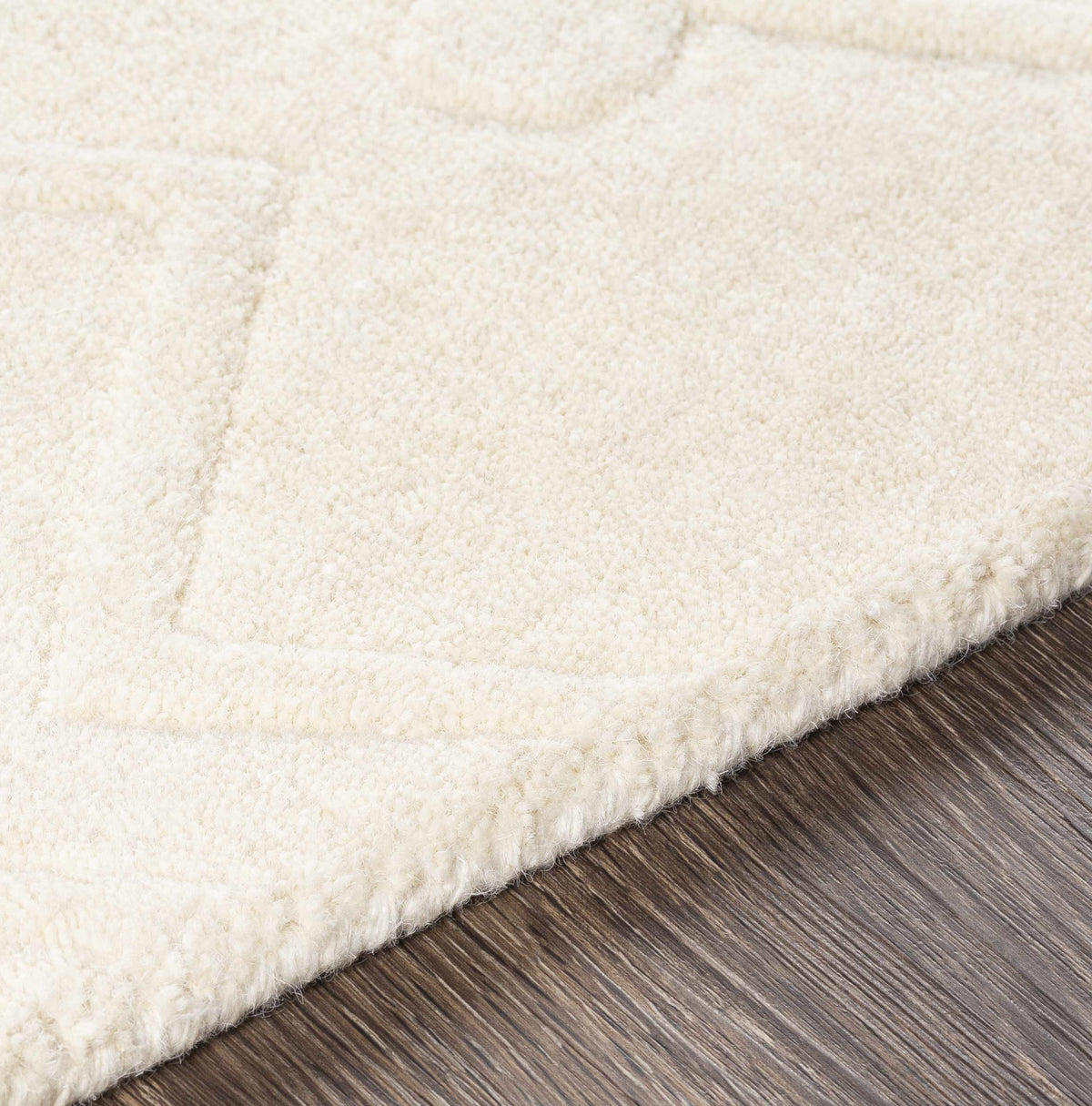 Lesmahagow Clearance Rug - Clearance - Ornate Home