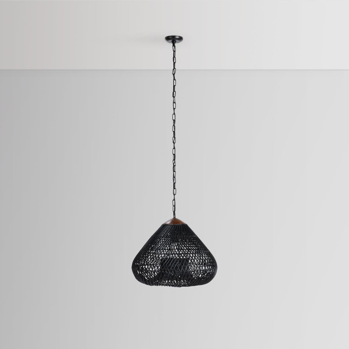 Lili Black 23.5" Ceiling Light
