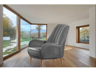 Linea Silver Velvet Accent Chair - Ornate Home