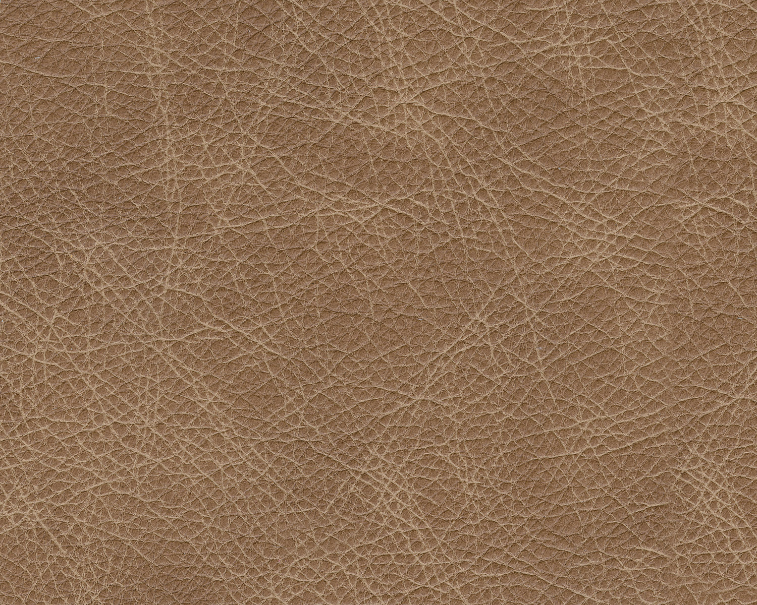 Lombardia Tumbleweed Oversized Chair - Ornate Home