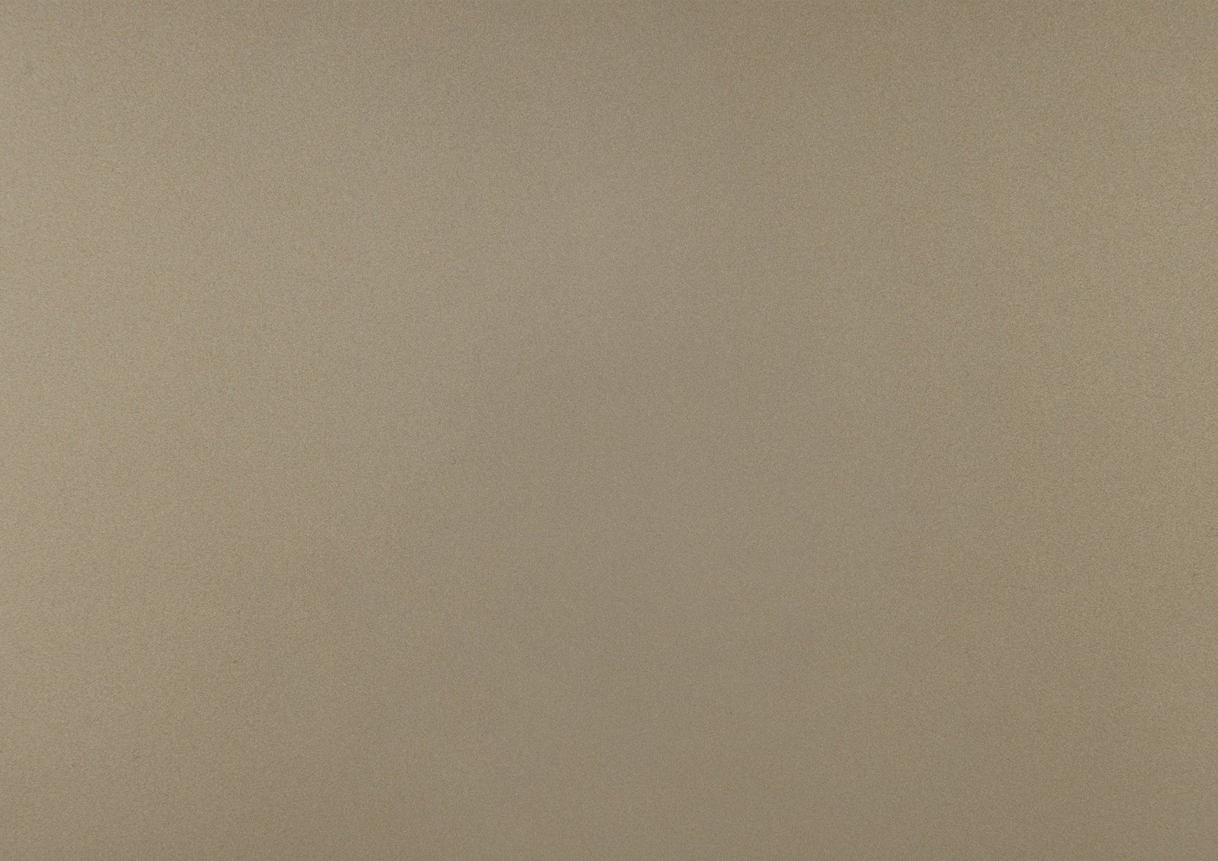 Loudon Champagne Twin Platform Bed - Ornate Home