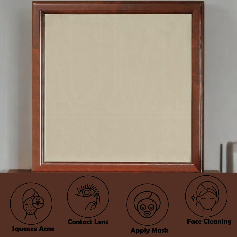 Louis Philippe III Mirror - Ornate Home