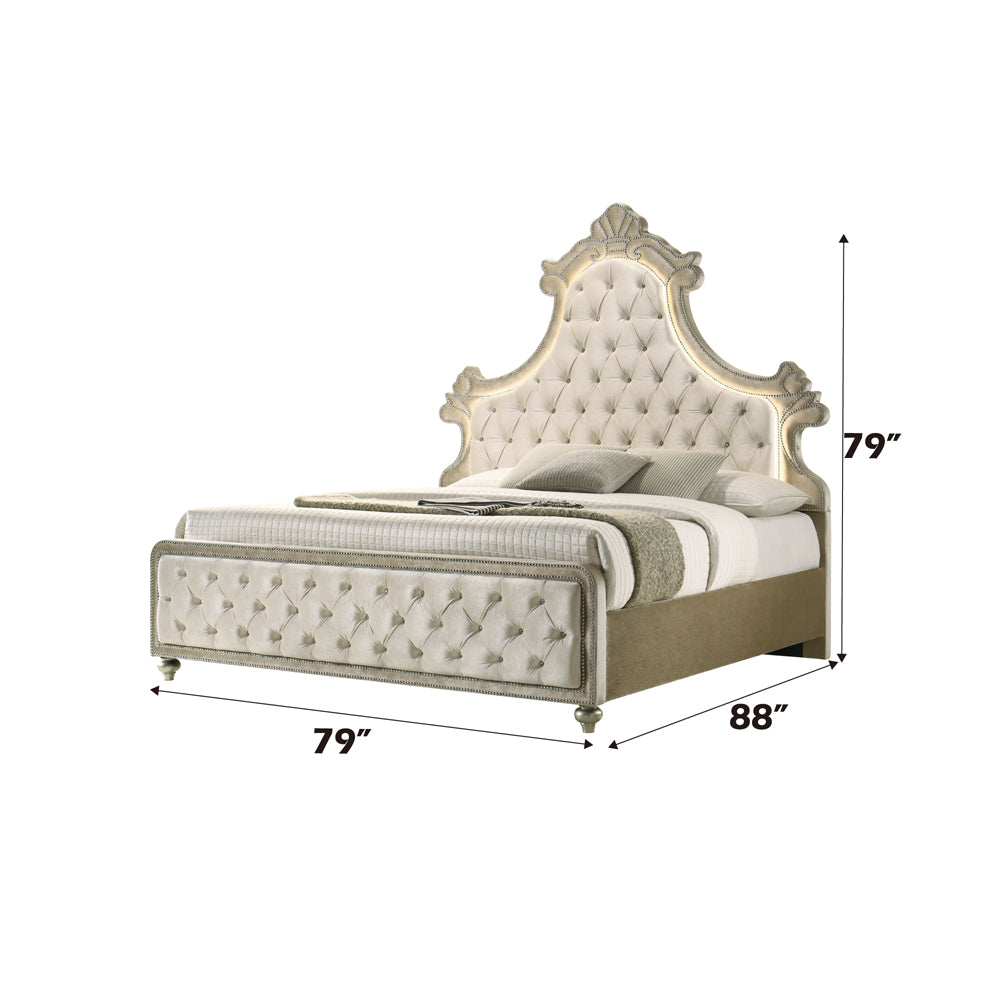 Lucienne Beige Eastern King Bed - Ornate Home
