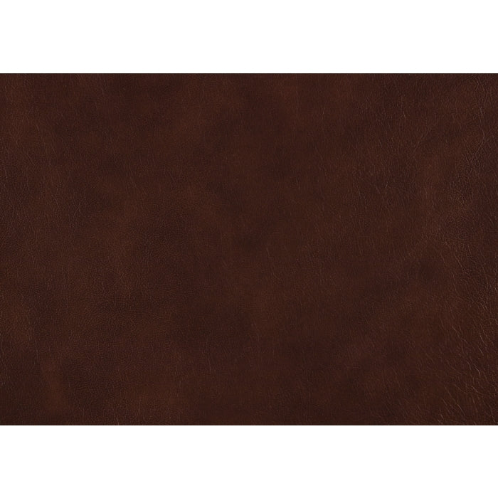 Lyman Brown Double Reclining Loveseat - Ornate Home