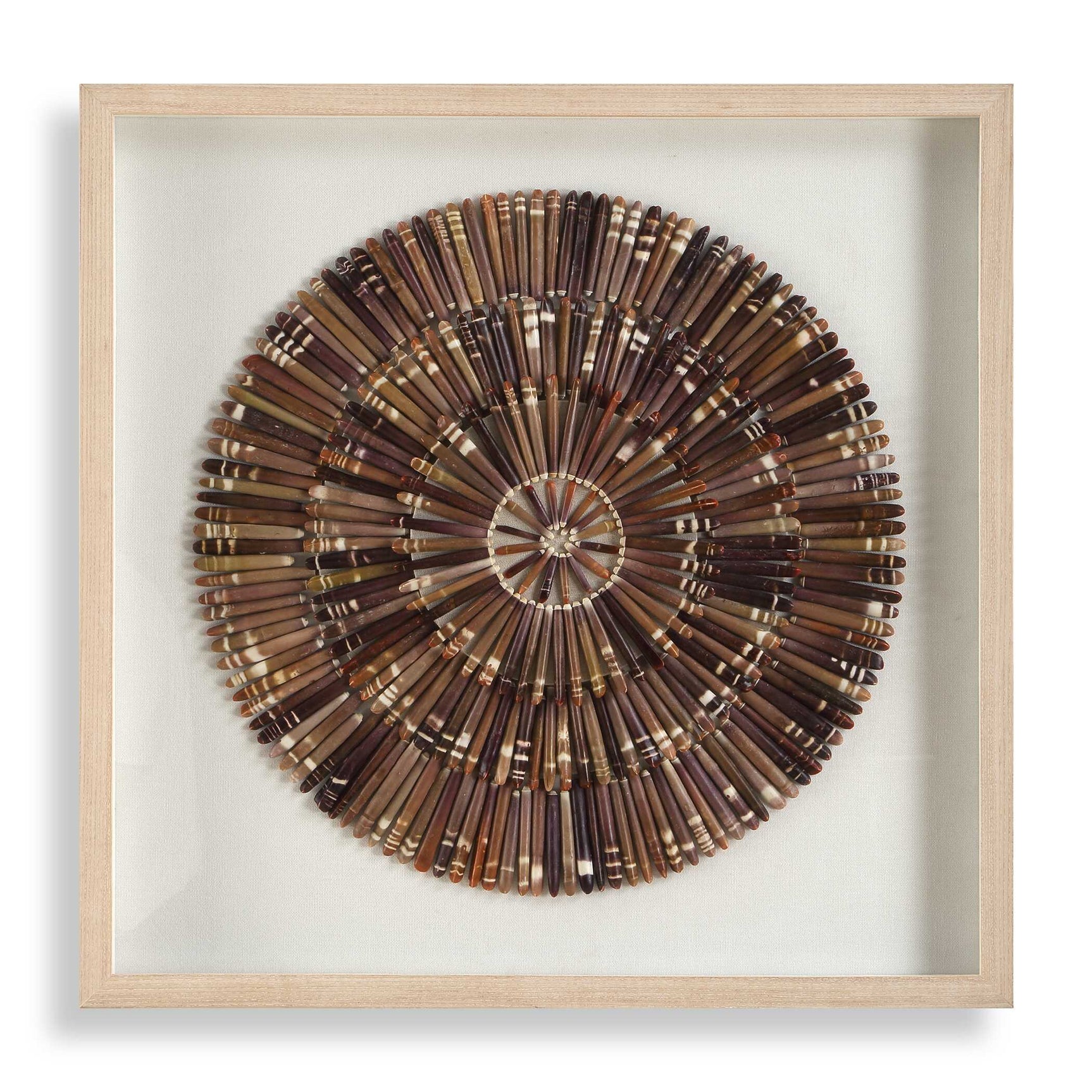 Tiger Sea Urchin Brown Shadow Box