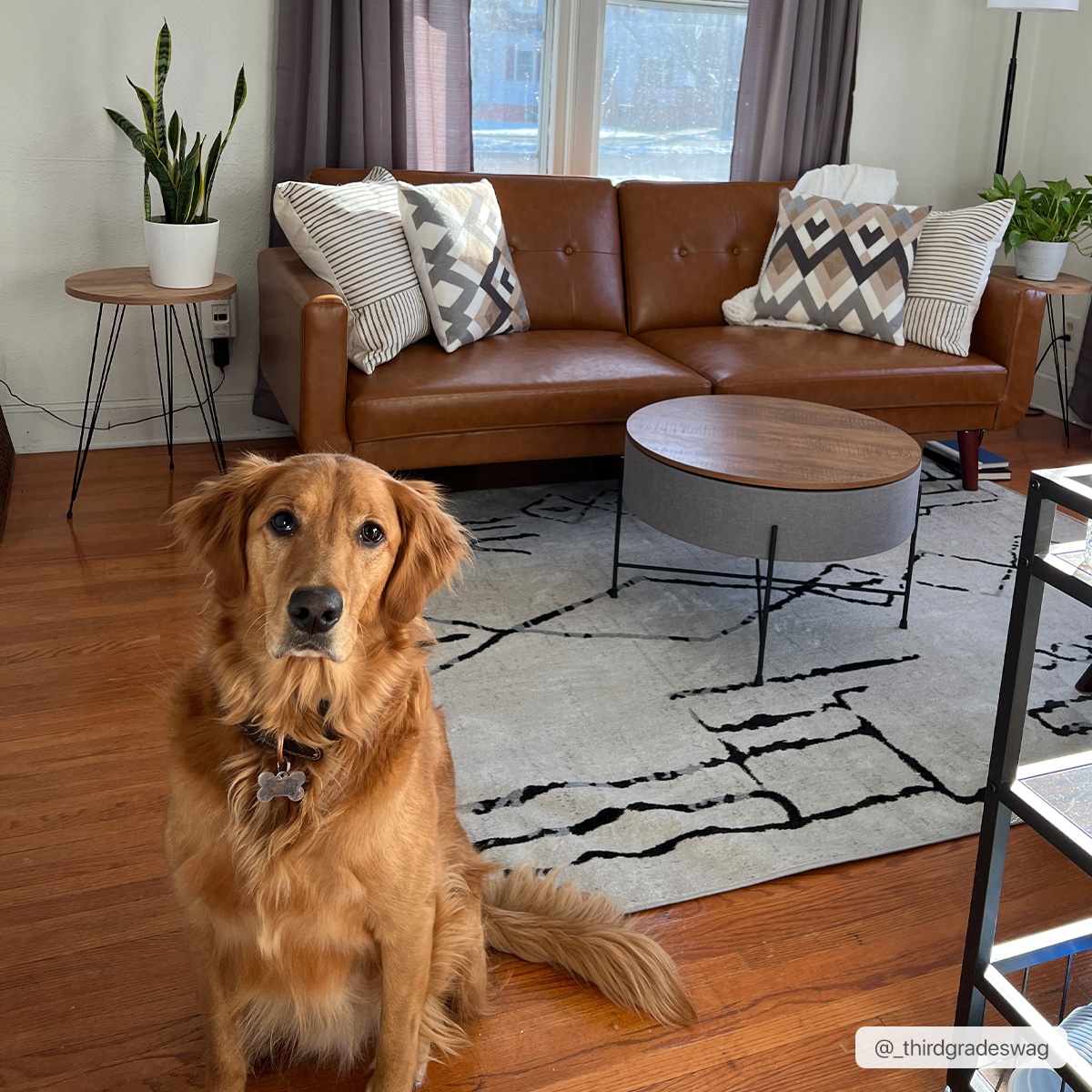 Maguyam Washable Area Rug - Clearance - Ornate Home