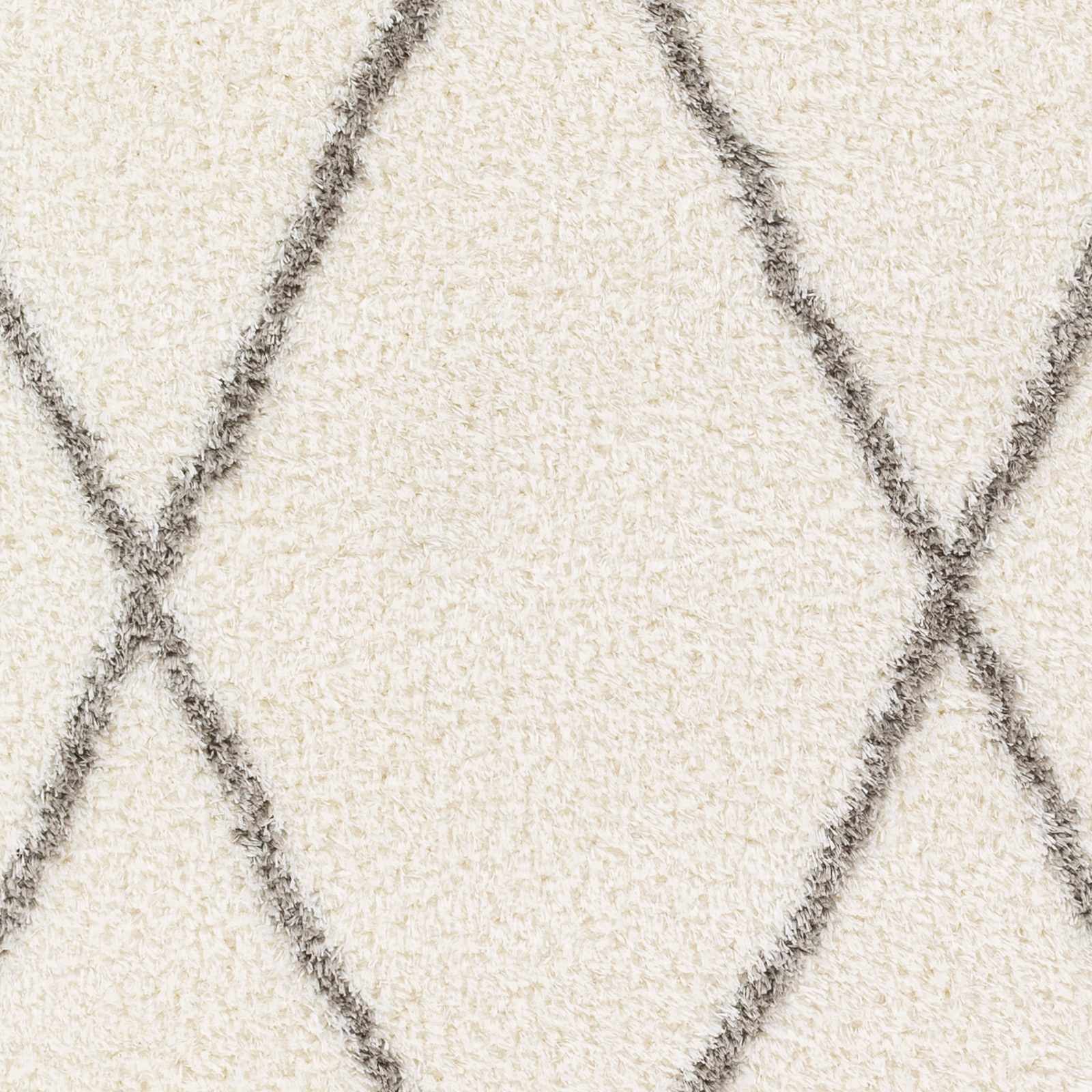 Maximiliano Area Rug - Ornate Home