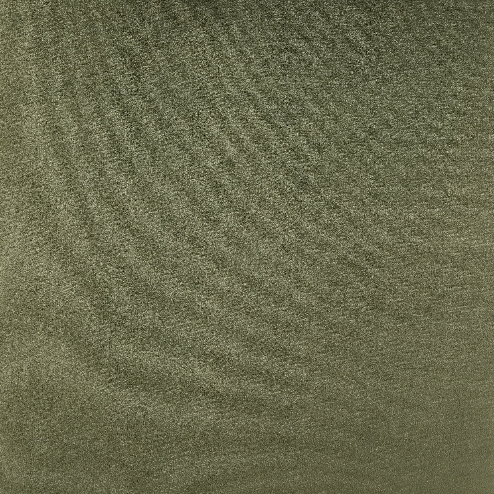 Mayette Olive / Gold Side Chair (Set of 2) - Ornate Home