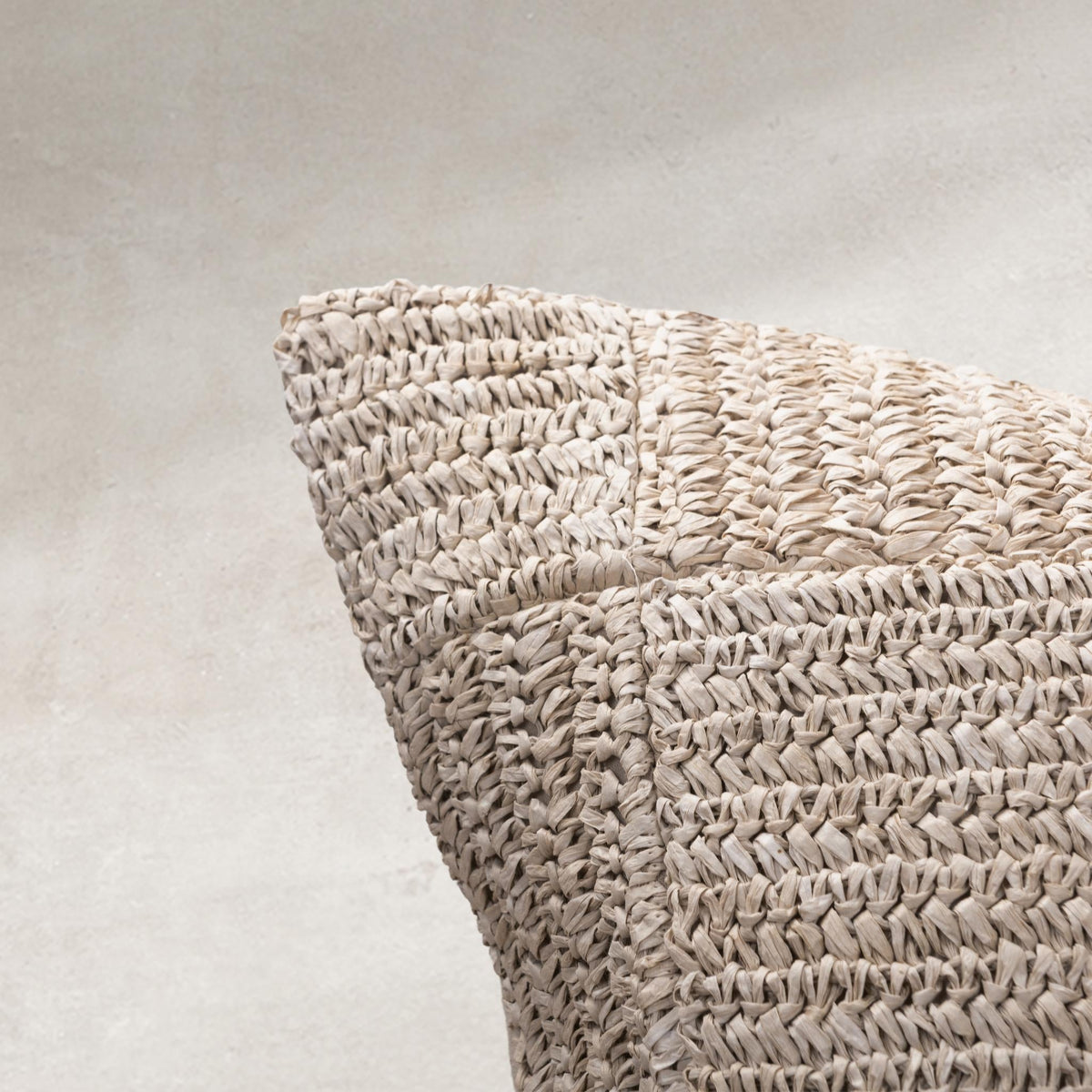 Merrit Natural 20"x20" Throw Pillow (Set of 2)