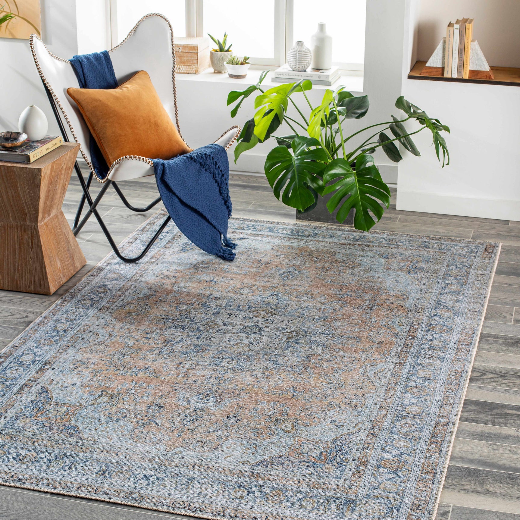 Mianay Washable Area Rug - Clearance - Ornate Home