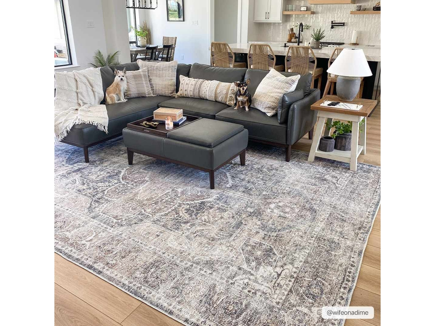 Mignon Washable Area Rug - Ornate Home