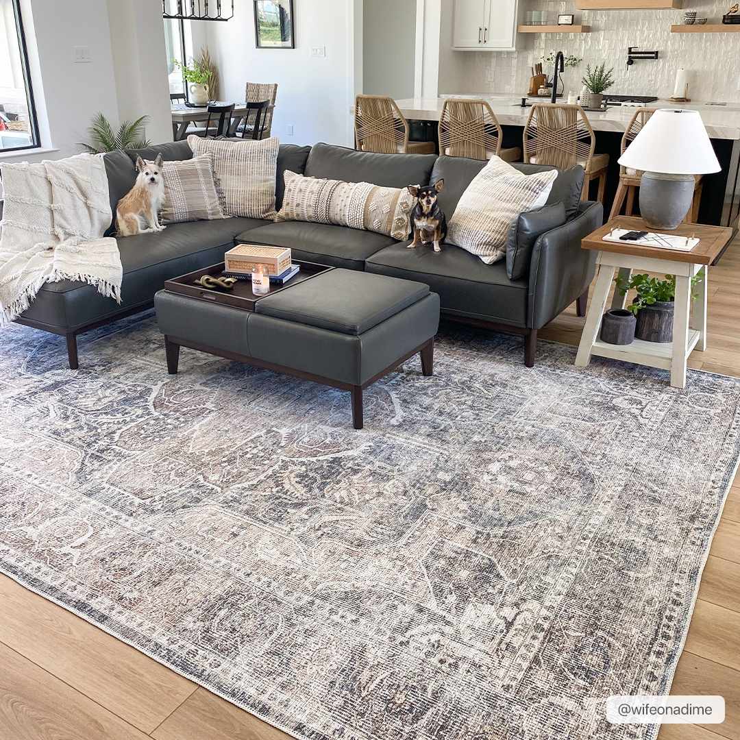 Mignon Washable Area Rug - Ornate Home