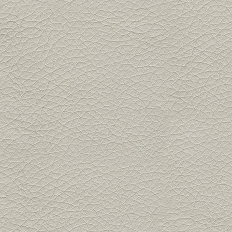 Mindanao Coconut Power Reclining Sofa - Ornate Home