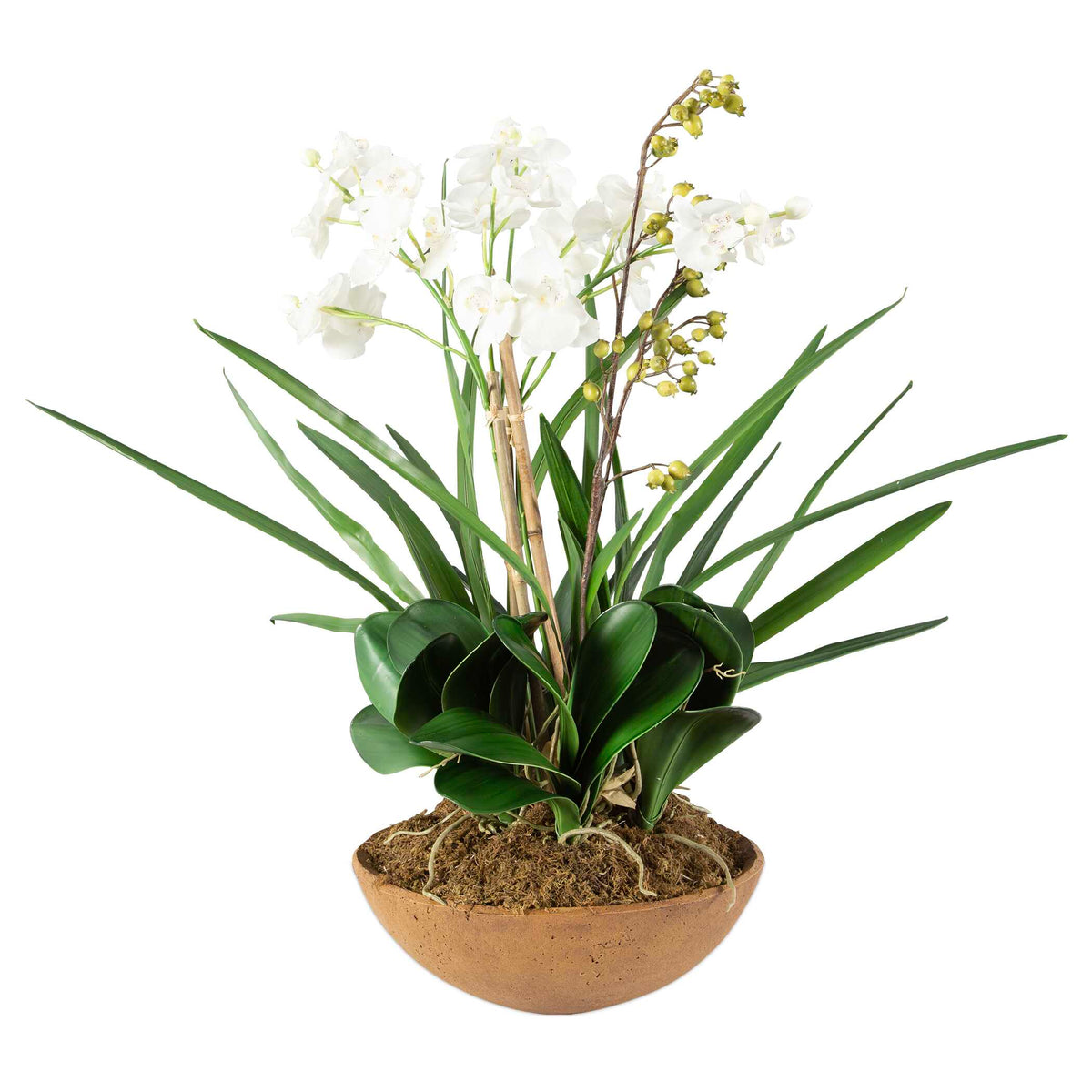 Moth Orchid Brown/Green/White Planter - Ornate Home
