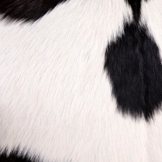 Naela Occasional Chair - Ornate Home