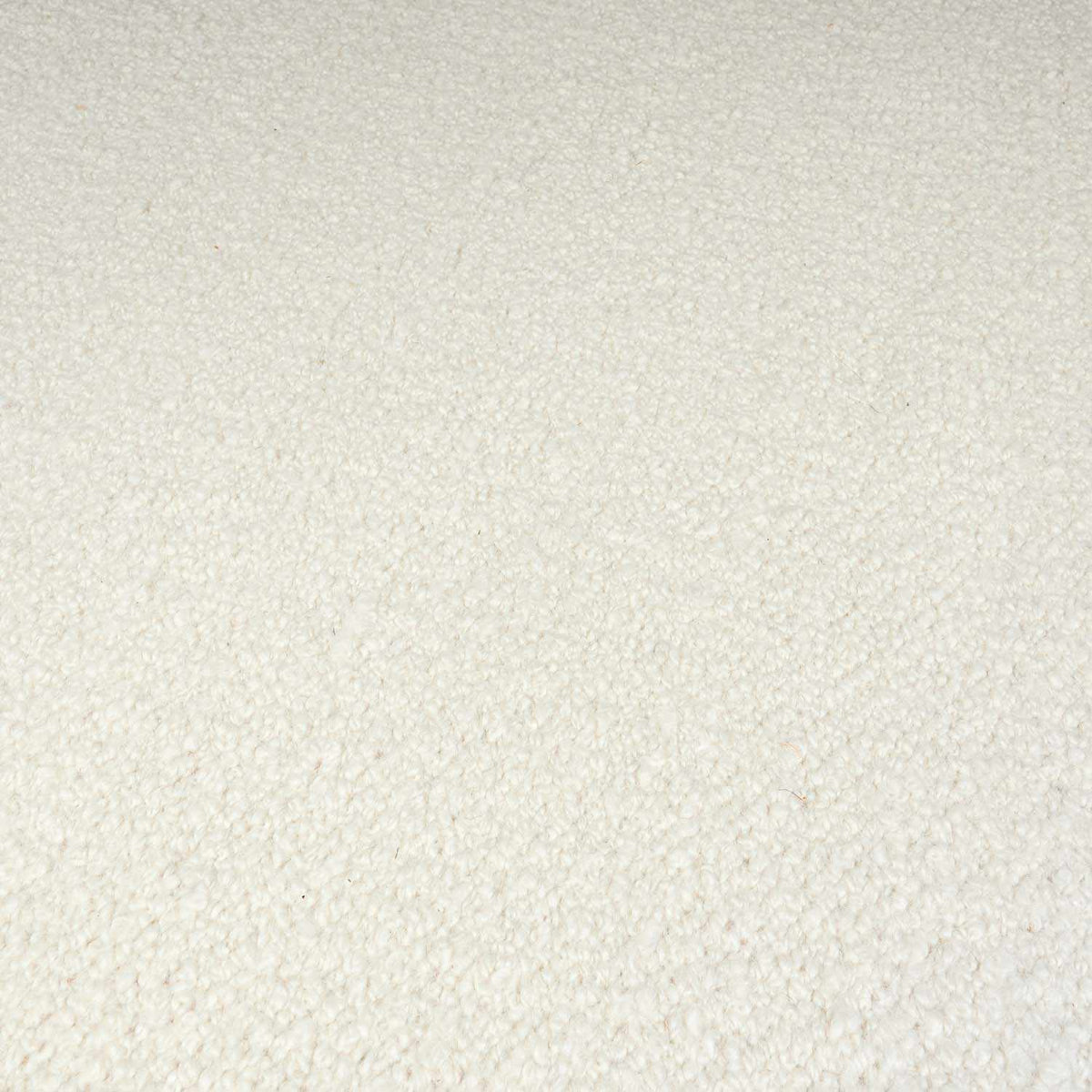 Niabi Area Rug - Clearance - Ornate Home