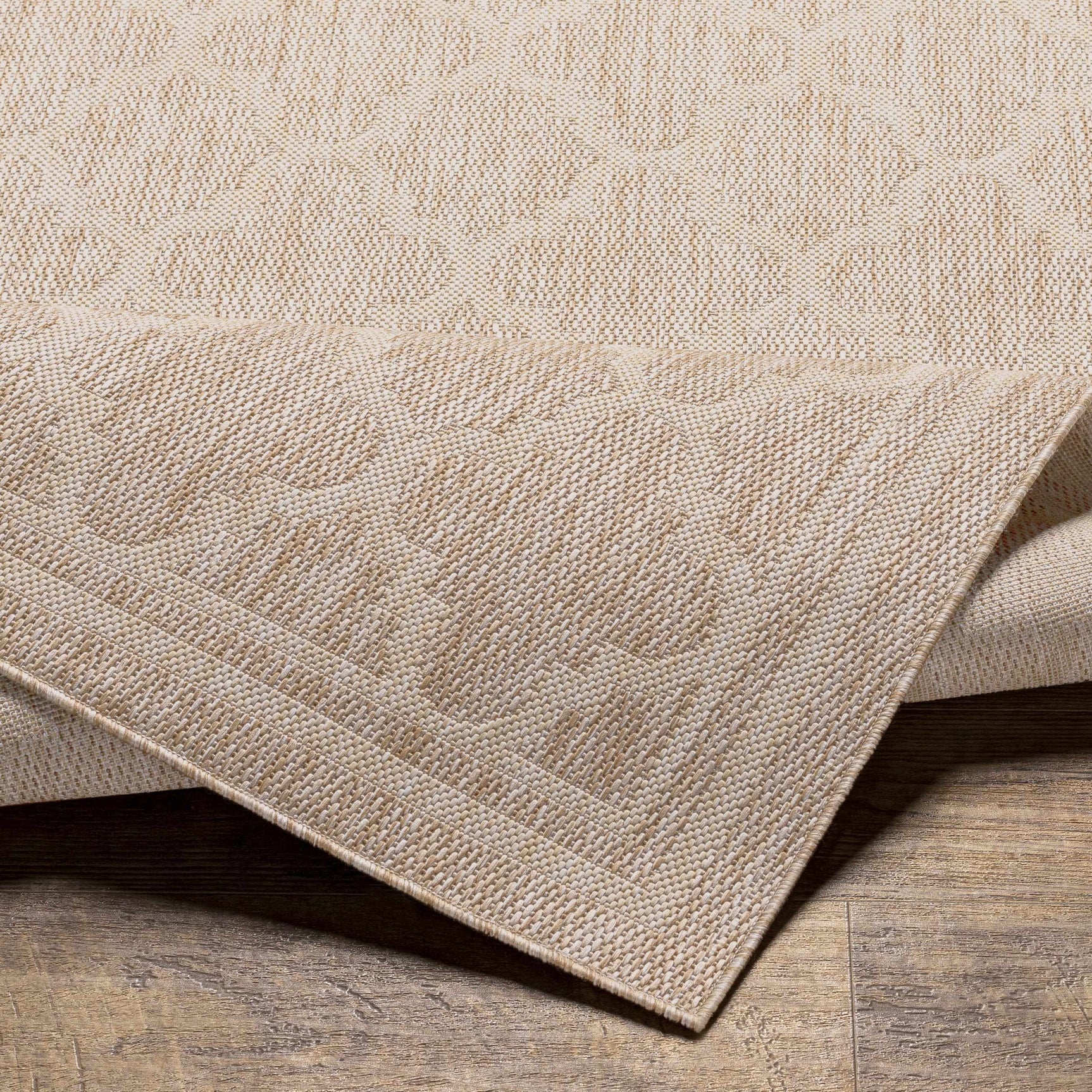 Noam Tan Indoor & Outdoor Rug - Clearance - Ornate Home
