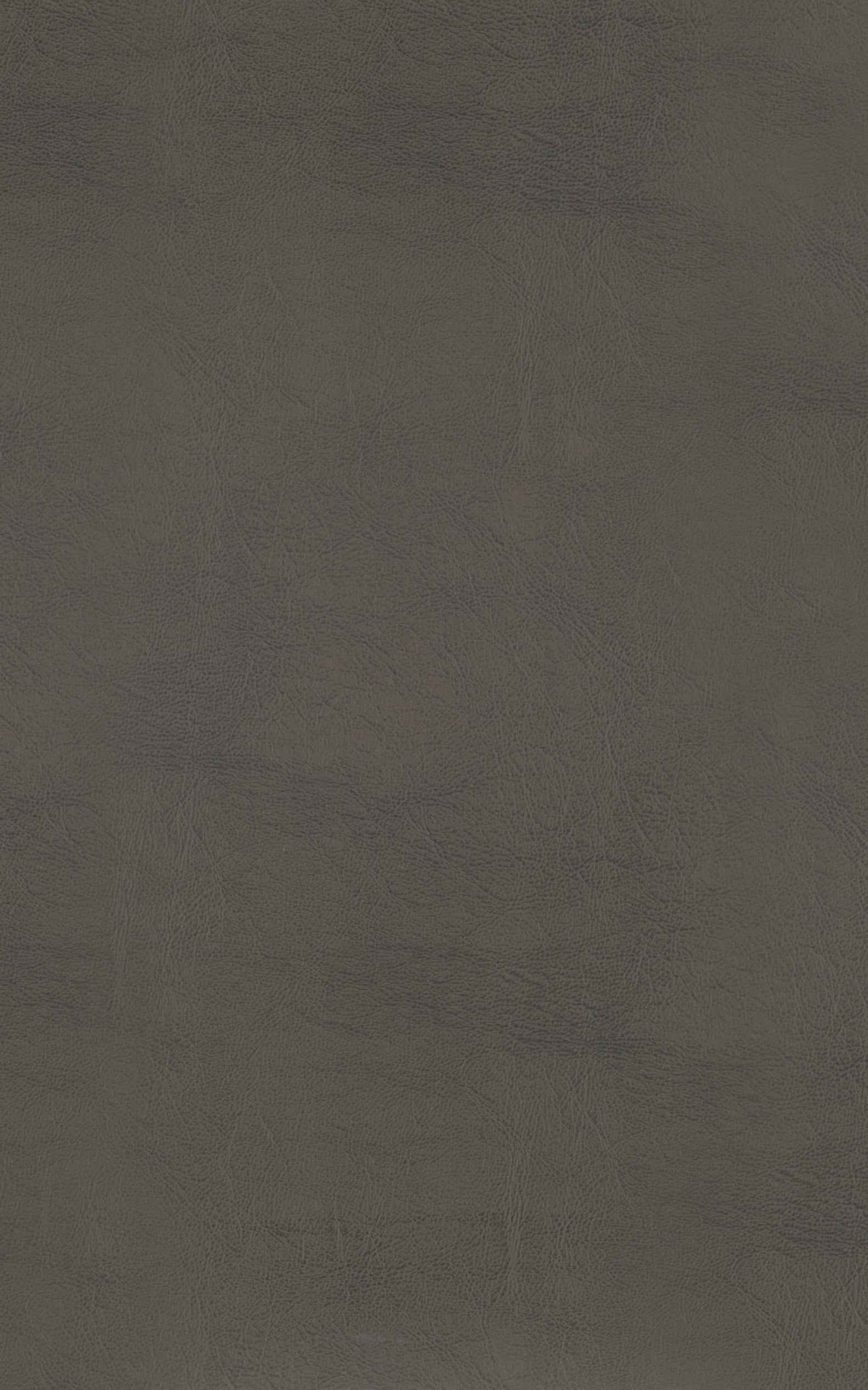 Ordway Gray/Brown Pub Height Stool - Ornate Home