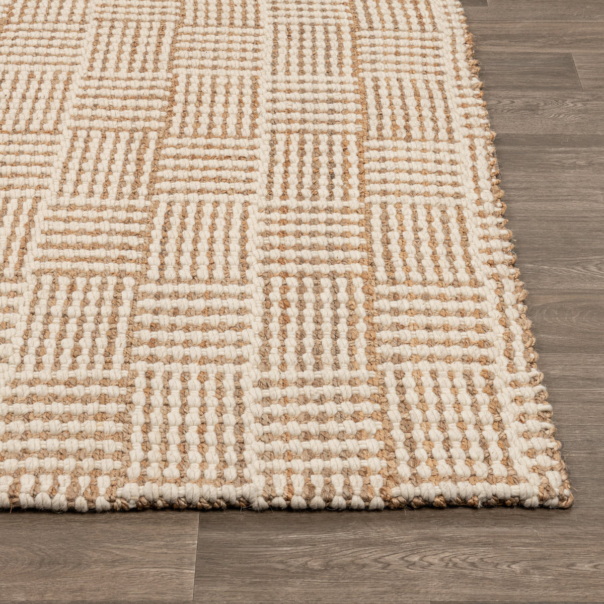 Osuna Ivory/Natural 2'x3' Rug