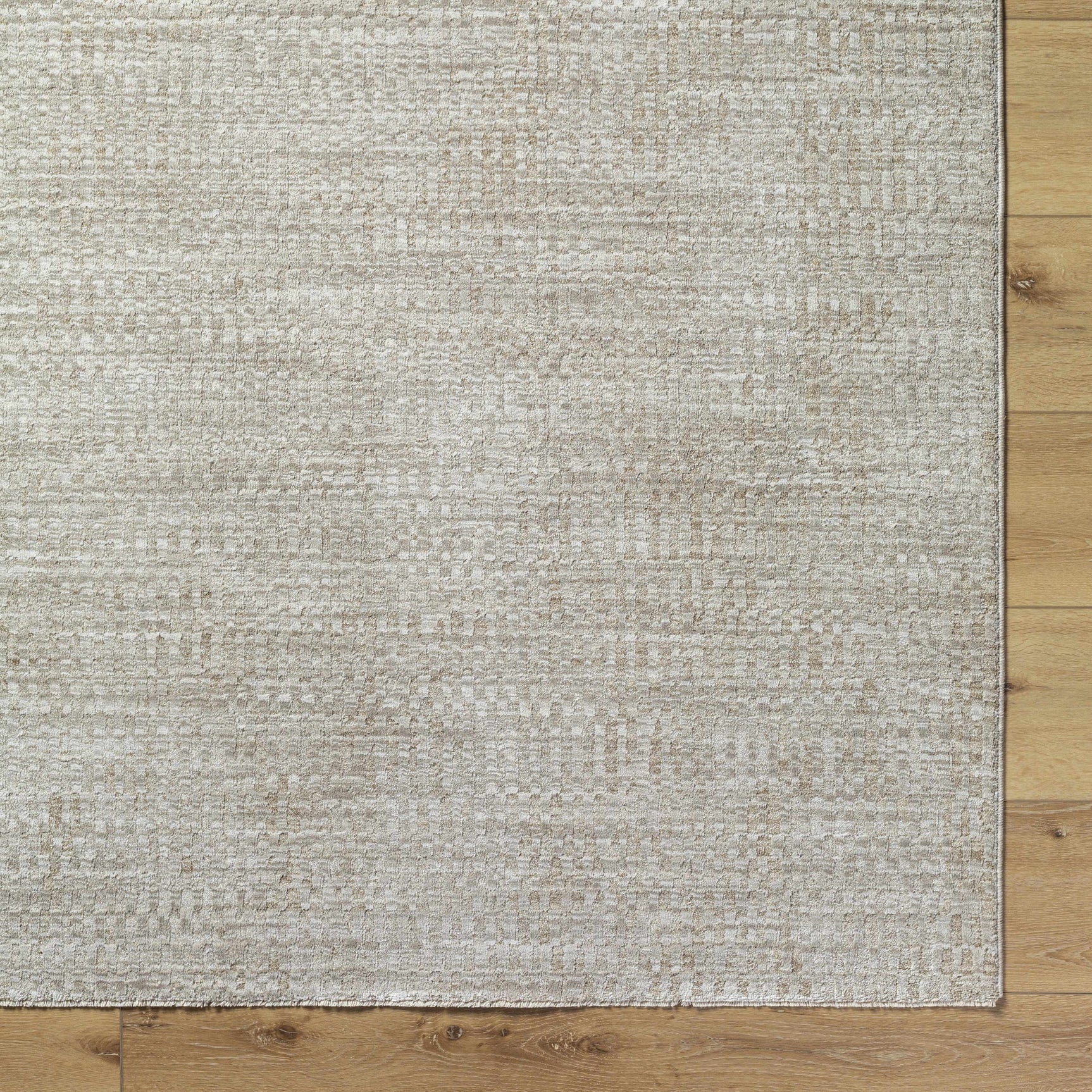 Pabla Light Gray Area Rug - Ornate Home