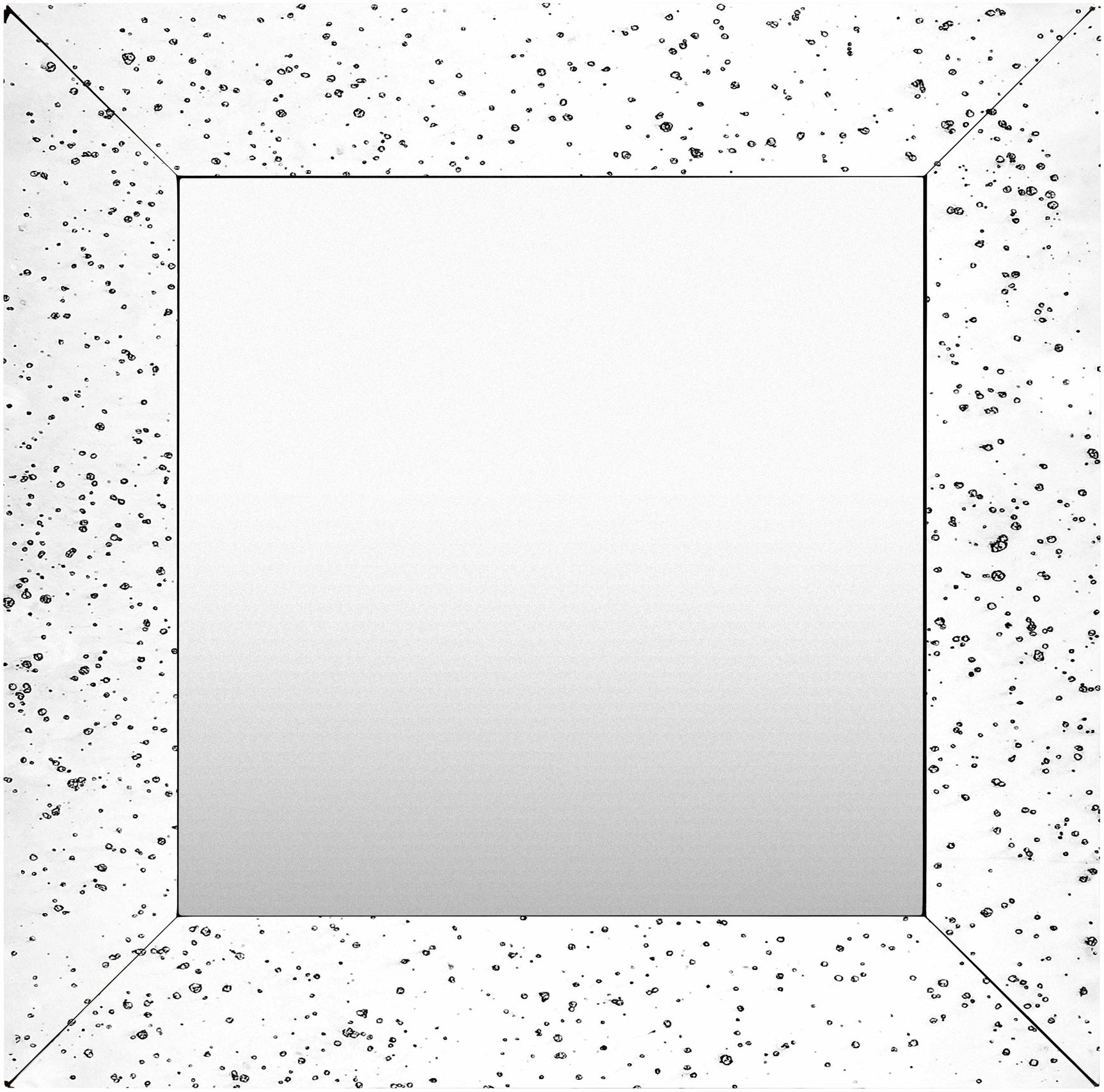 Papine Mirror - Clearance - Ornate Home
